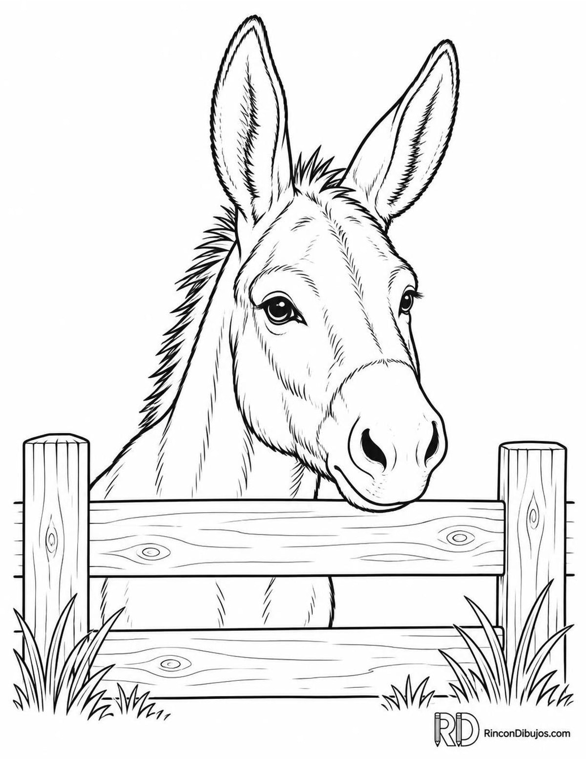 Dibujo de burro para colorear