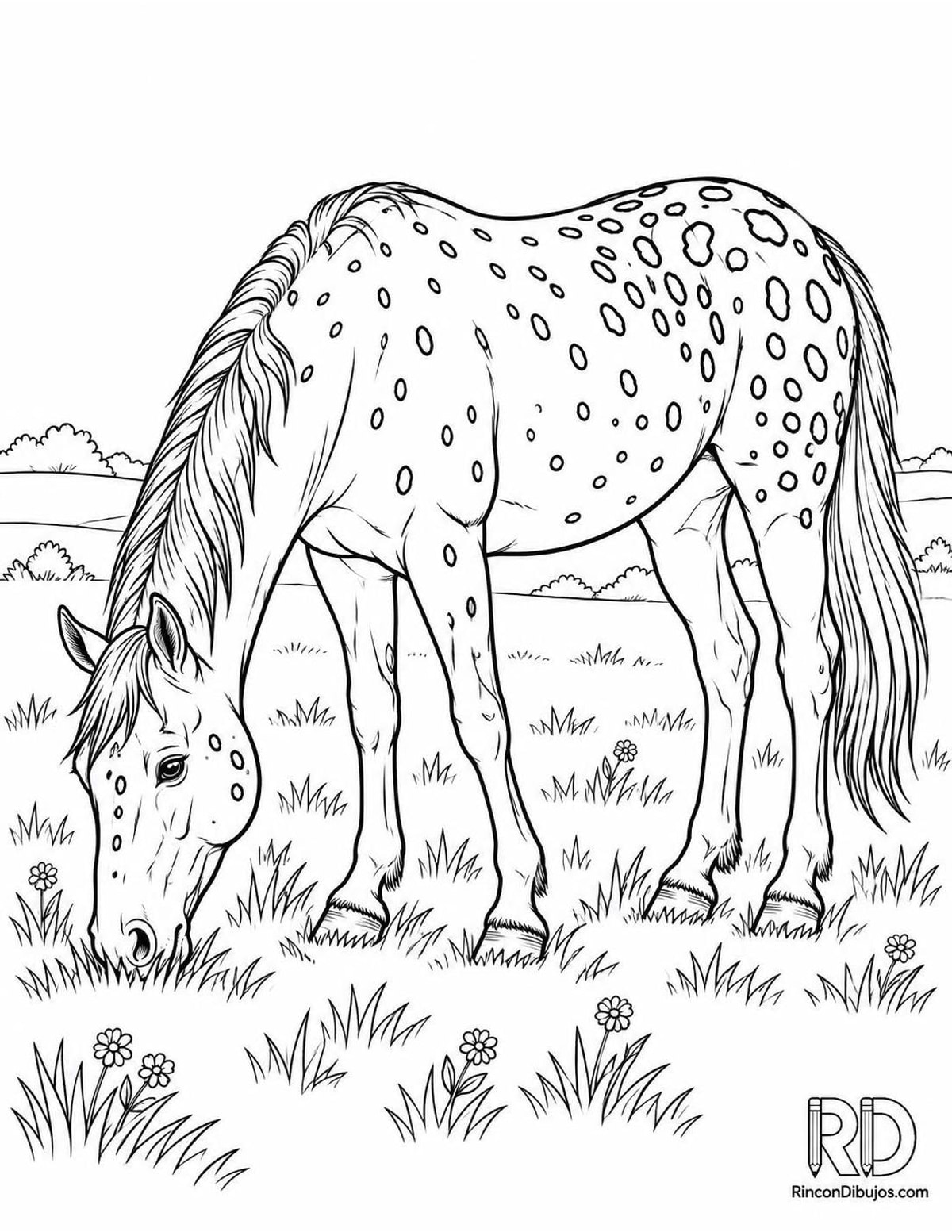 Dibujo de caballo appaloosa para colorear Dibujo de caballo appaloosa para colorear