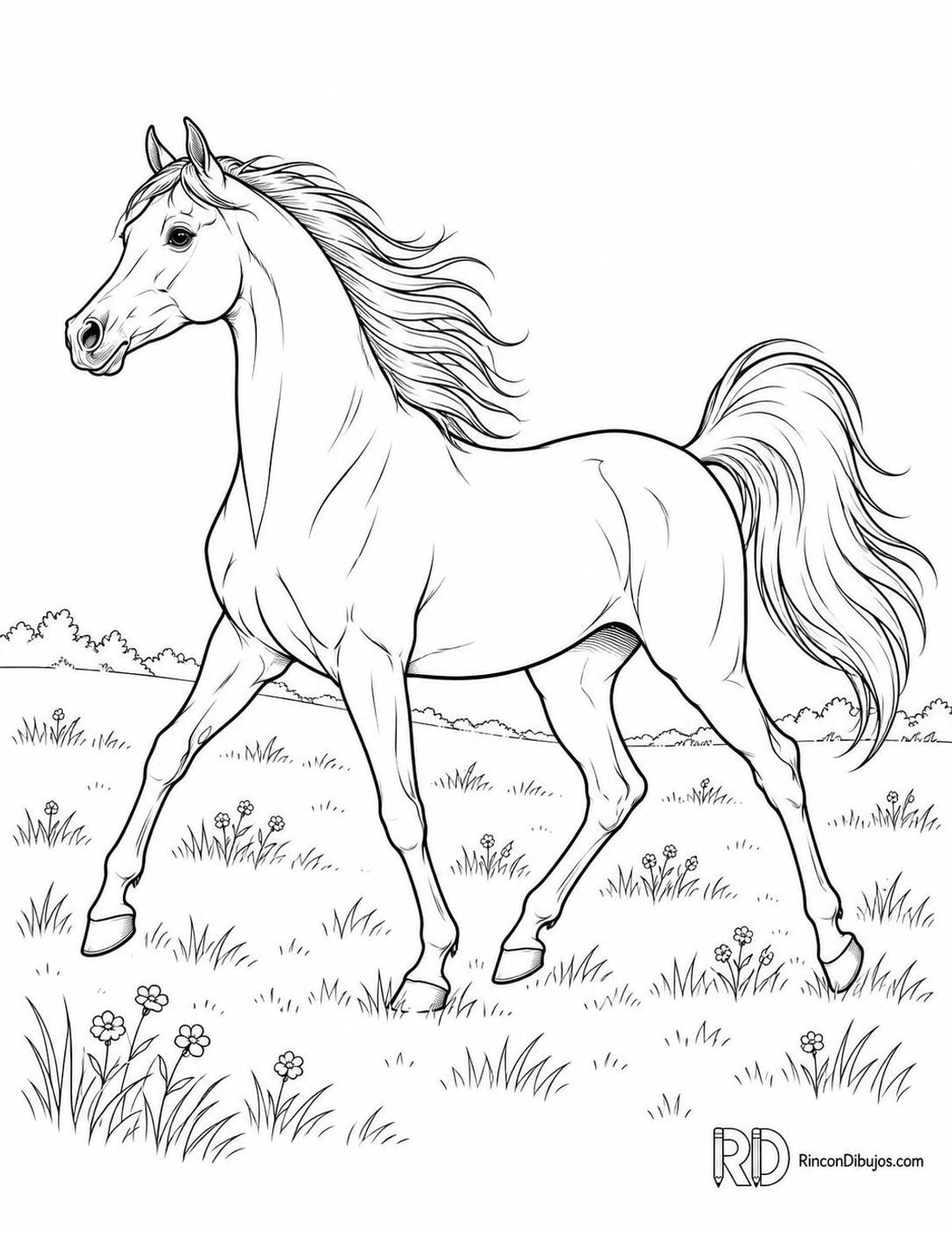 Dibujo de caballo árabe para colorear Dibujo de caballo árabe para colorear