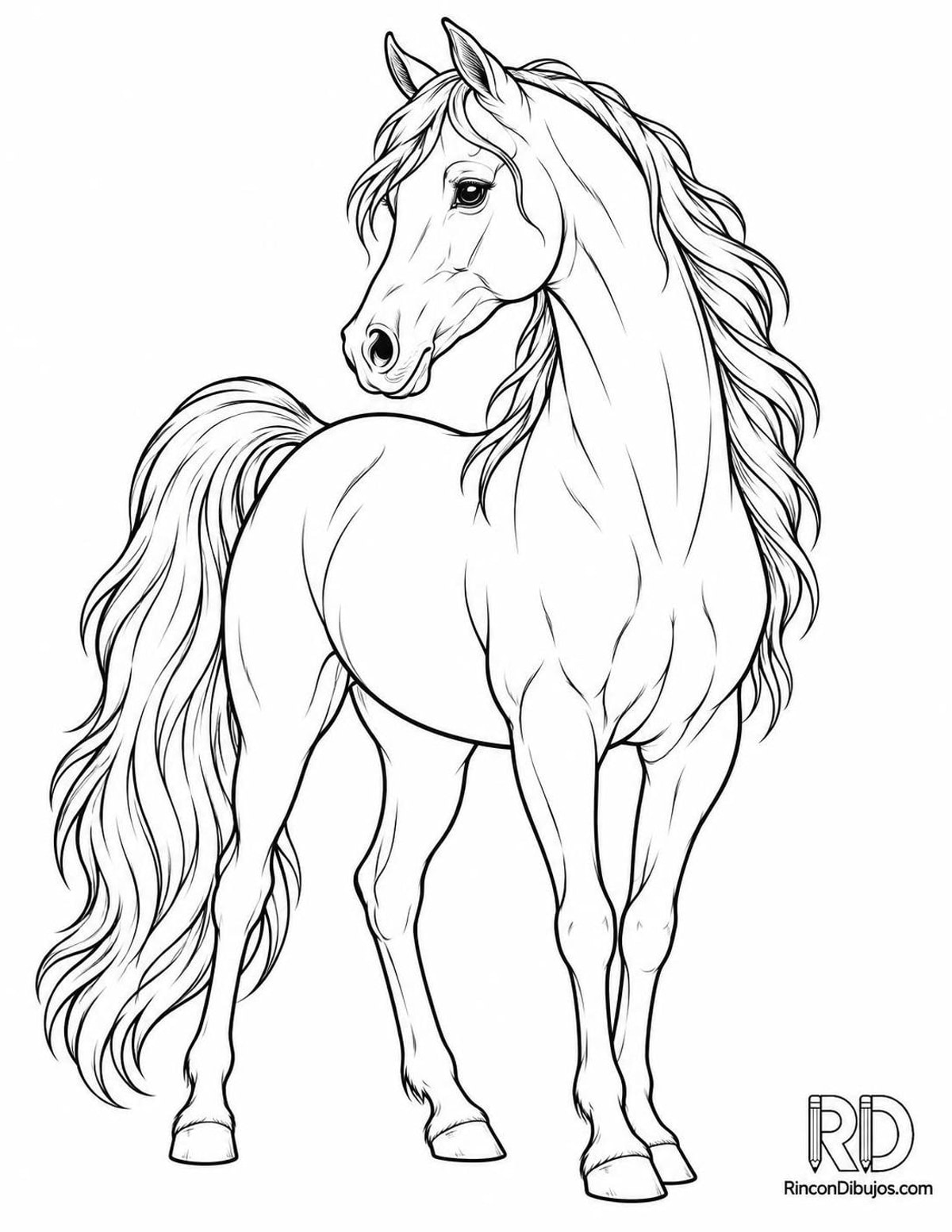 Dibujo de caballo árabe para colorear Dibujo de caballo árabe para colorear