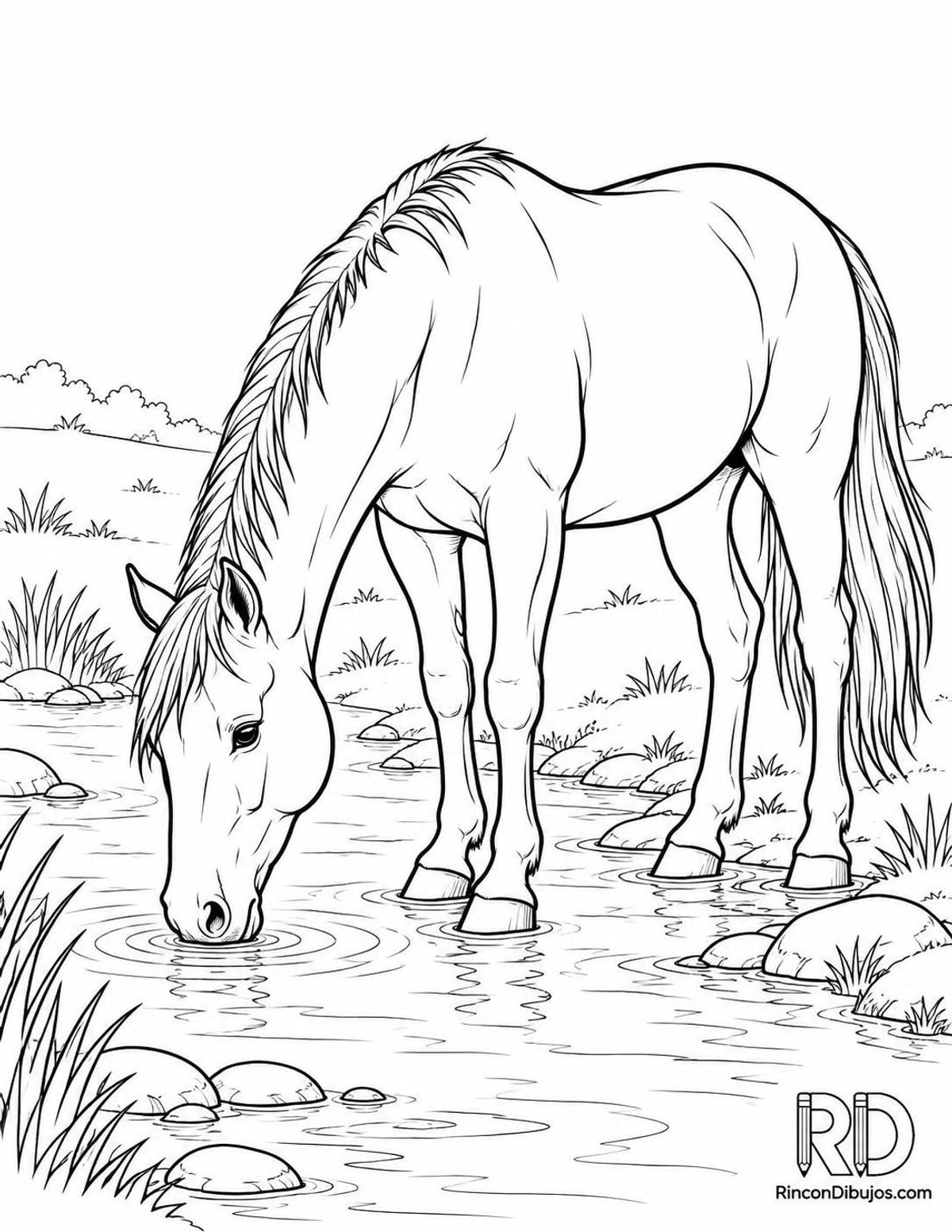 Dibujo de caballo bebiendo agua para colorear Dibujo de caballo bebiendo agua para colorear