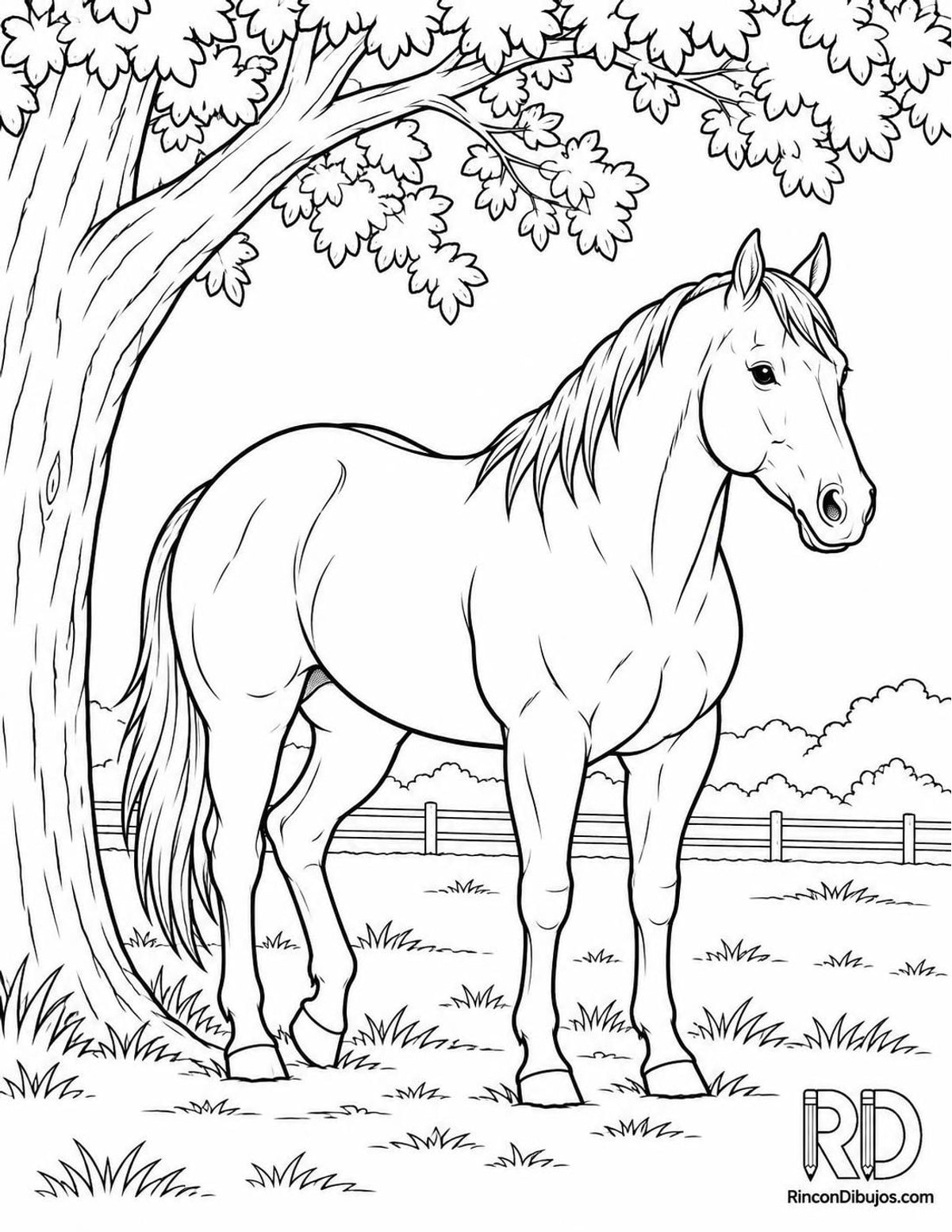 Dibujo de caballo cuarto de milla para colorear Dibujo de caballo cuarto de milla para colorear