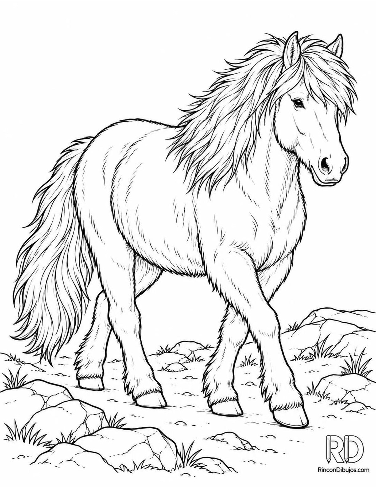 Dibujo de caballo islandés para colorear Dibujo de caballo islandés para colorear