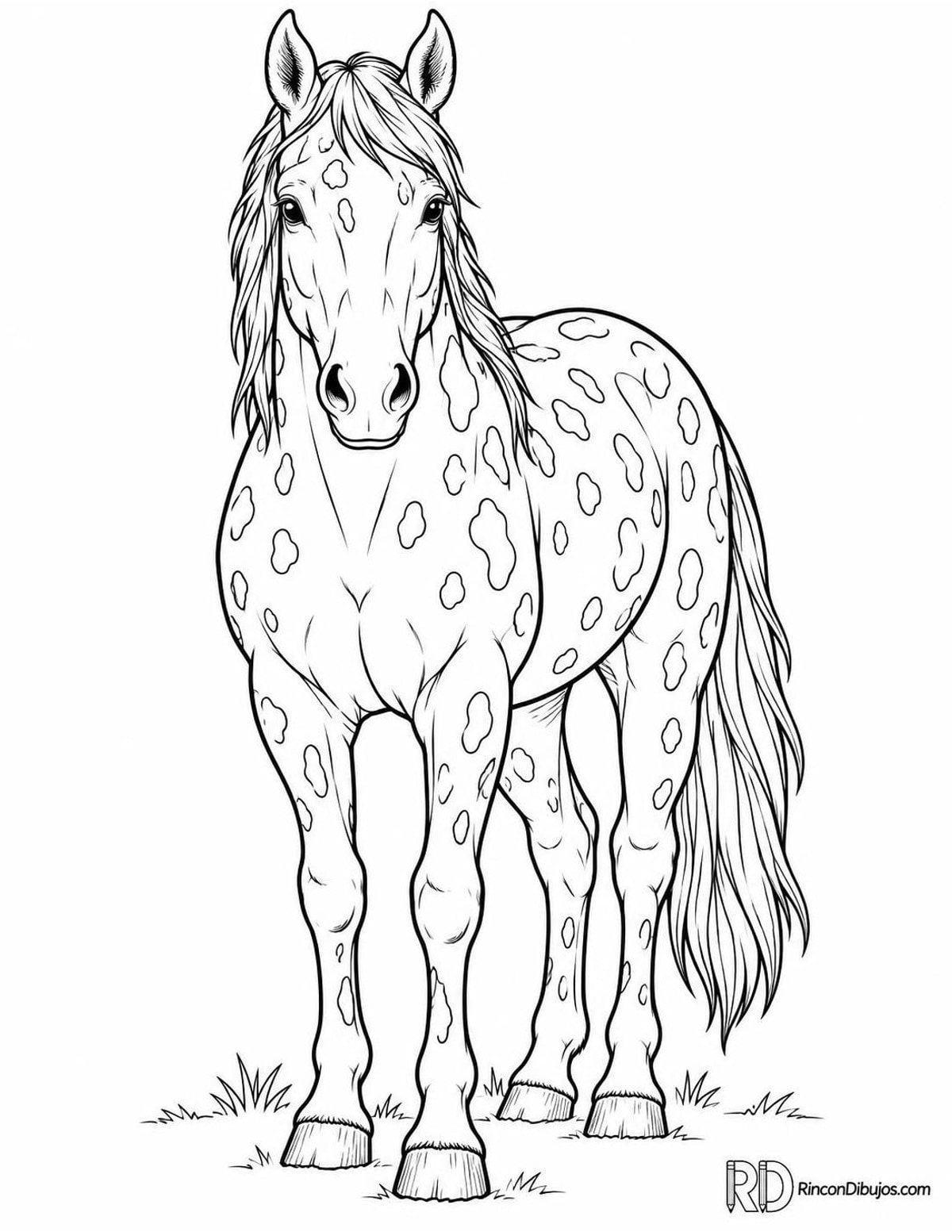 Dibujo de caballo moteado para colorear Dibujo de caballo moteado para colorear