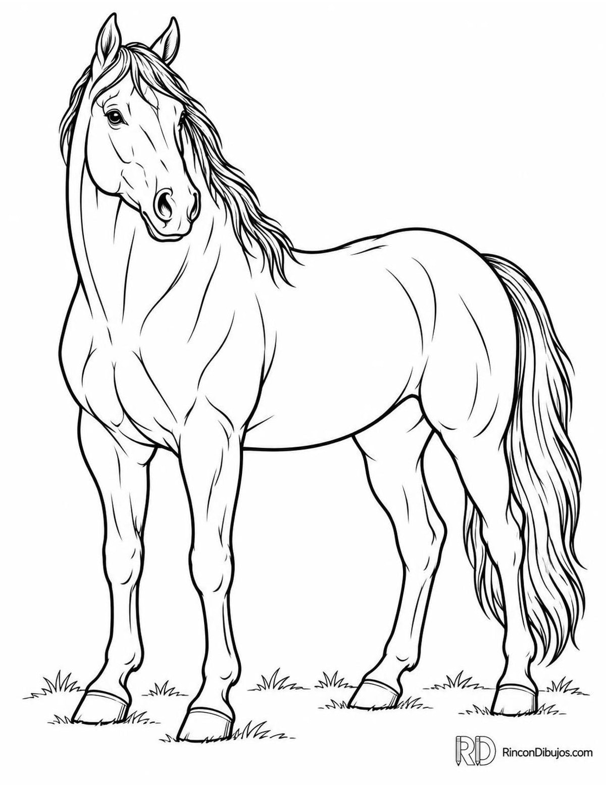 Dibujo de caballo negro para colorear Dibujo de caballo negro para colorear