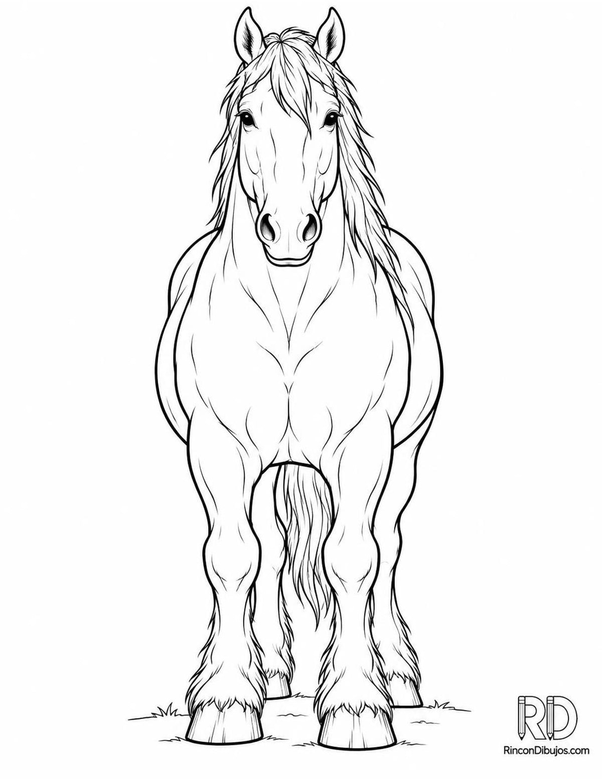 Dibujo de caballo percherón para colorear Dibujo de caballo percherón para colorear