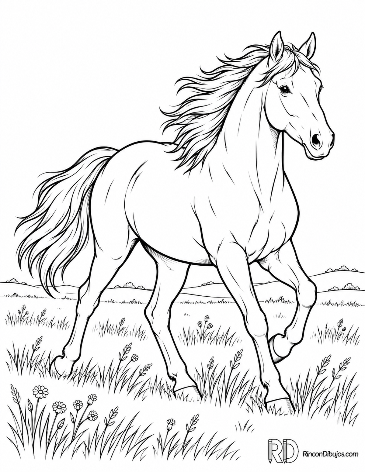 Dibujo de caballo salvaje para colorear Dibujo de caballo salvaje para colorear
