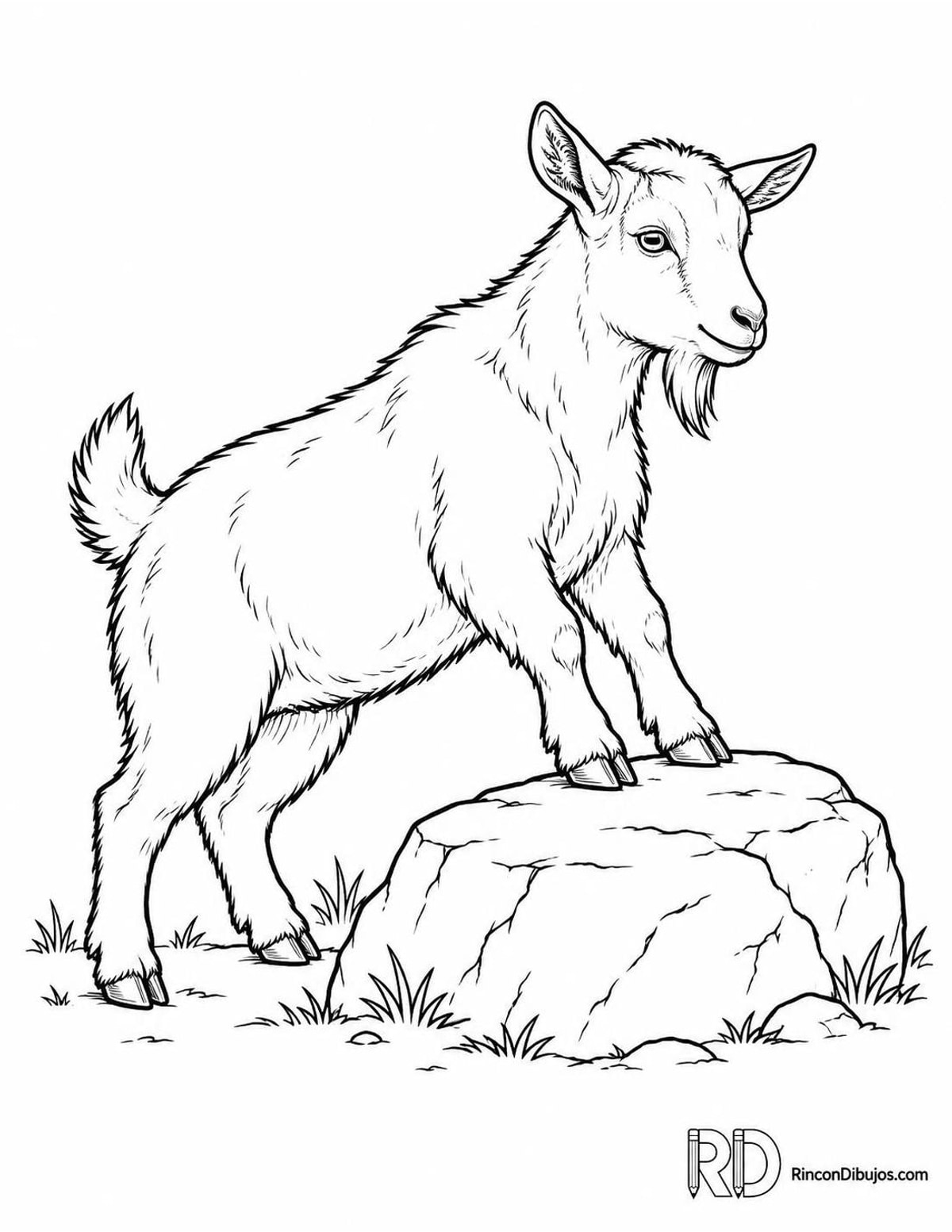 Dibujo de cabra enana para colorear