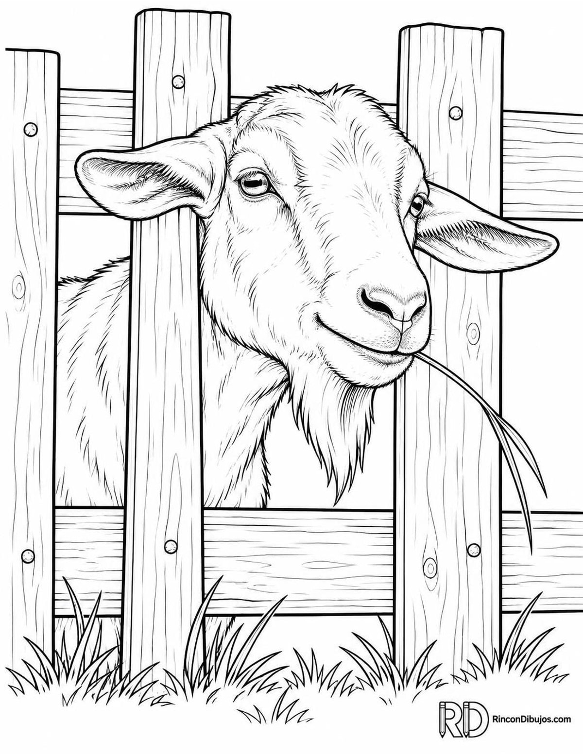 Dibujo de cabra para colorear