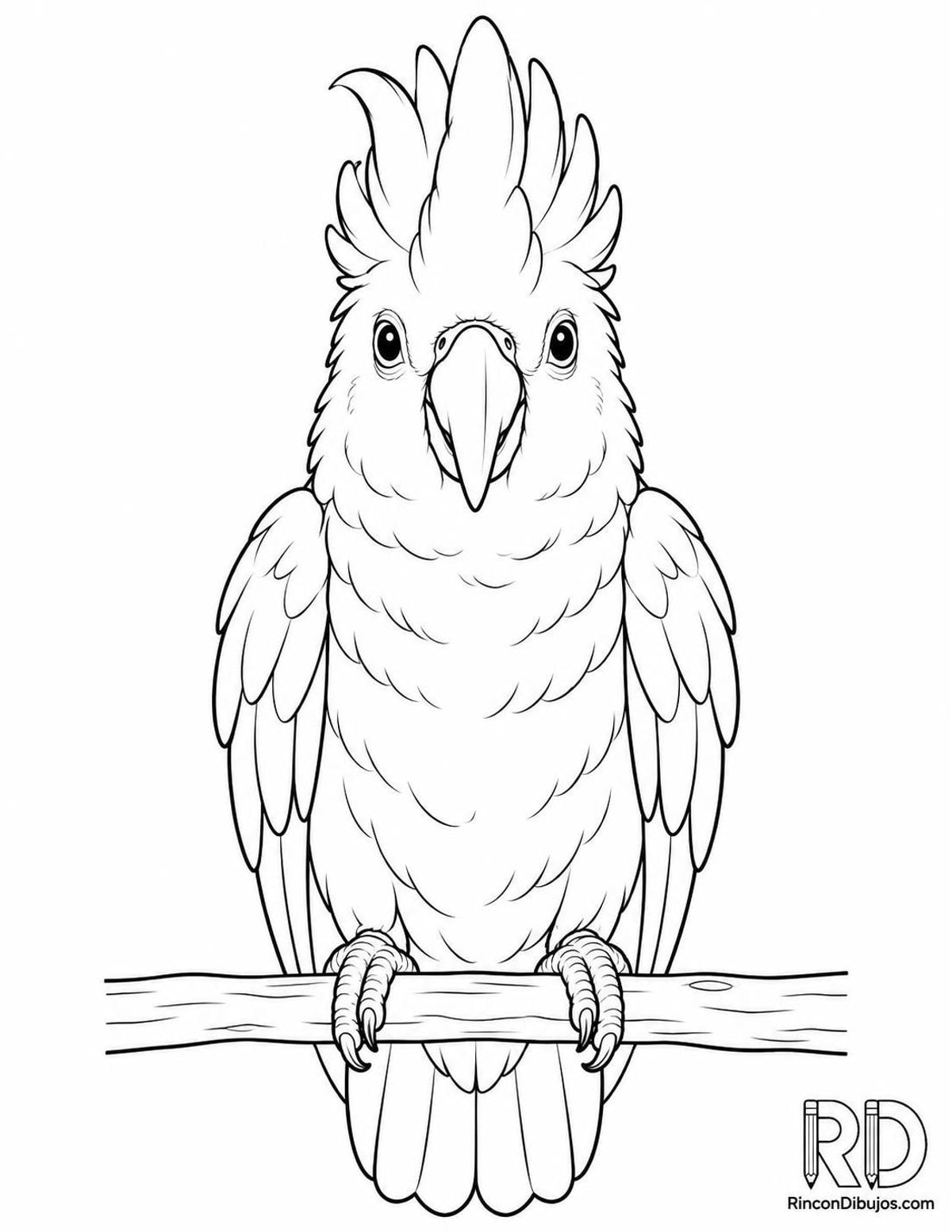 Dibujo de cacatúa blanca frontal para colorear Dibujo de cacatúa blanca frontal para colorear