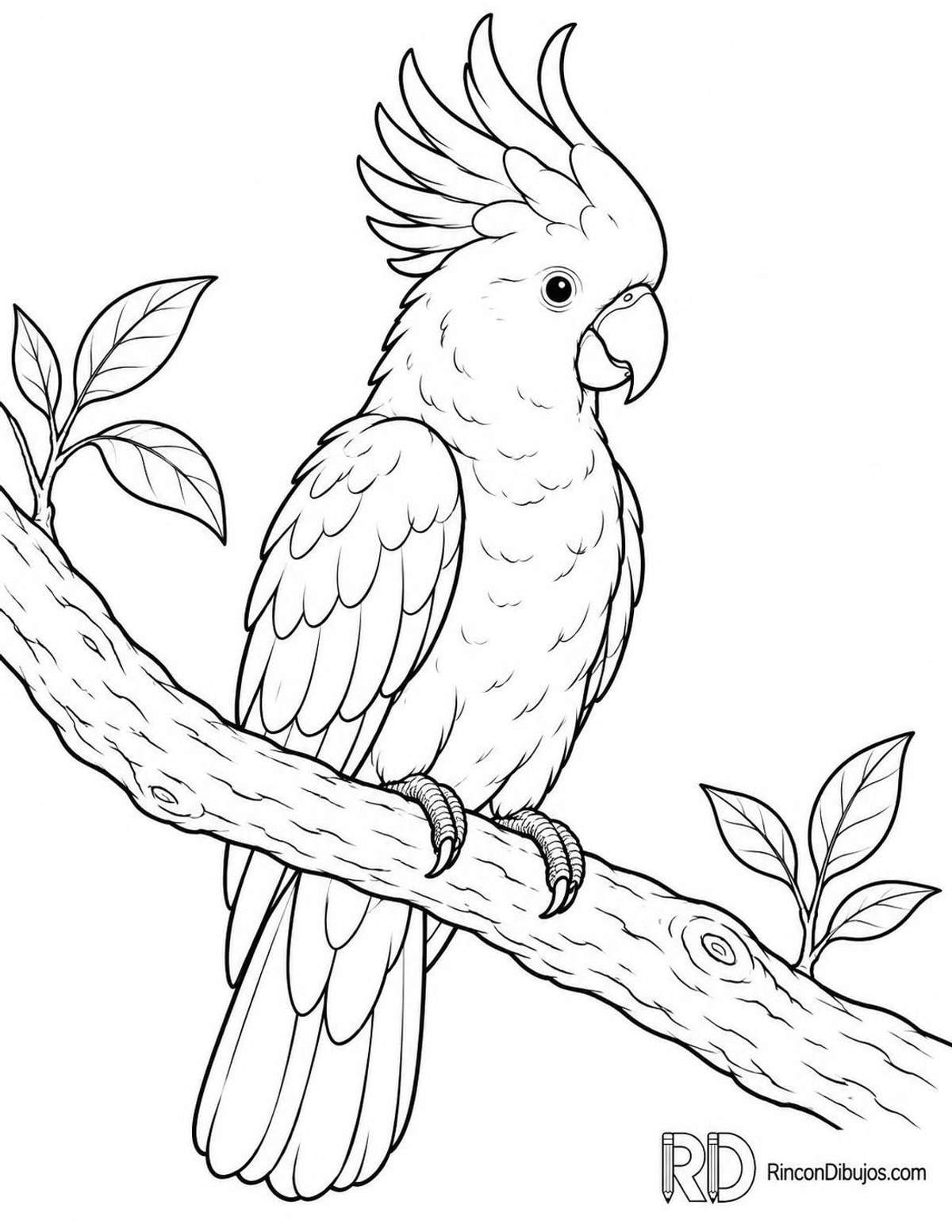 Dibujo de cacatúa blanca para colorear Dibujo de cacatúa blanca para colorear