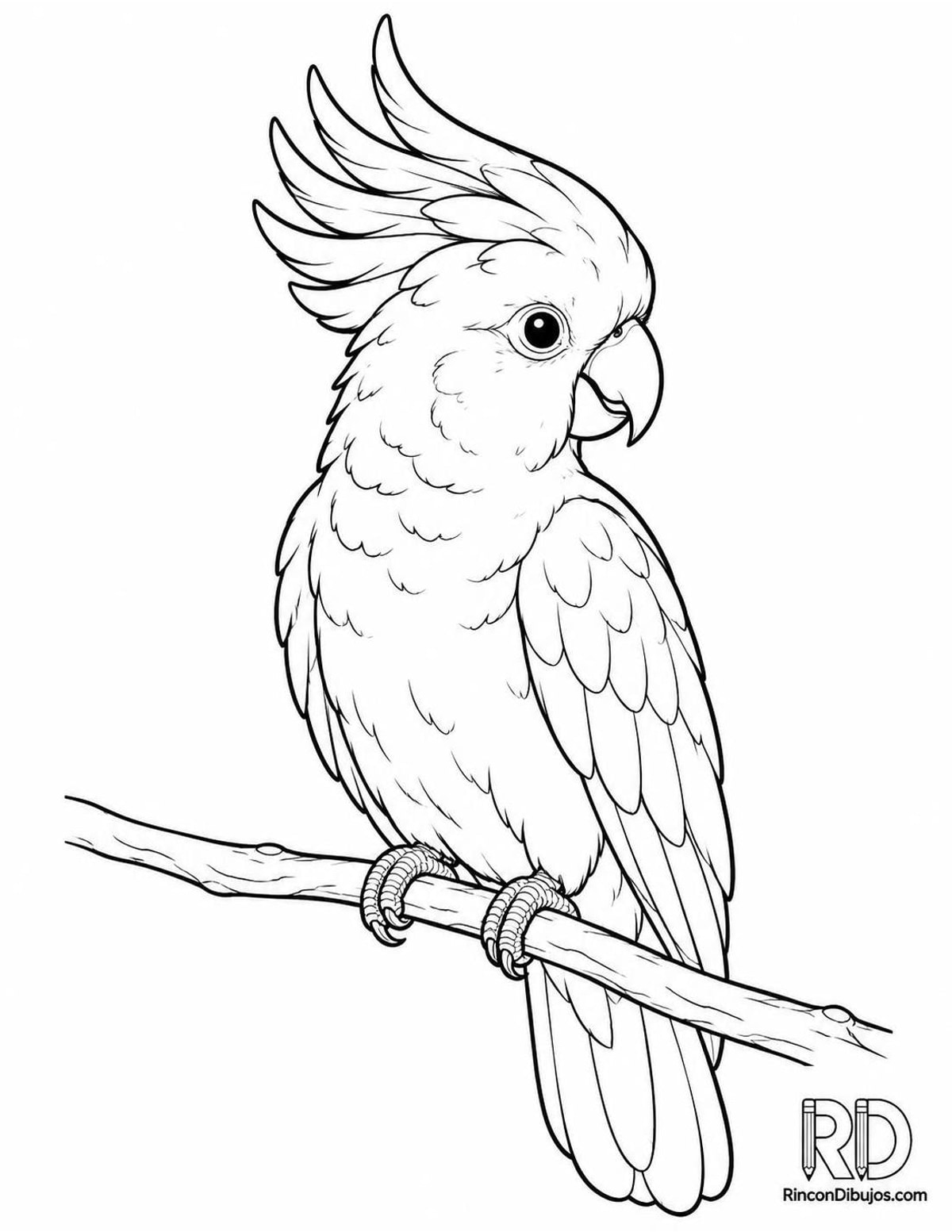 Dibujo de cacatúa cresta naranja para colorear Dibujo de cacatúa cresta naranja para colorear