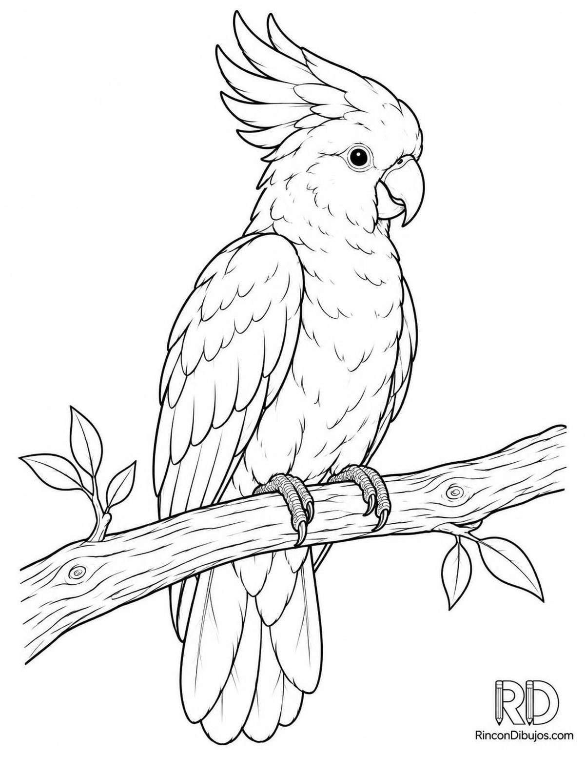 Dibujo de cacatúa en percha para colorear Dibujo de cacatúa en percha para colorear