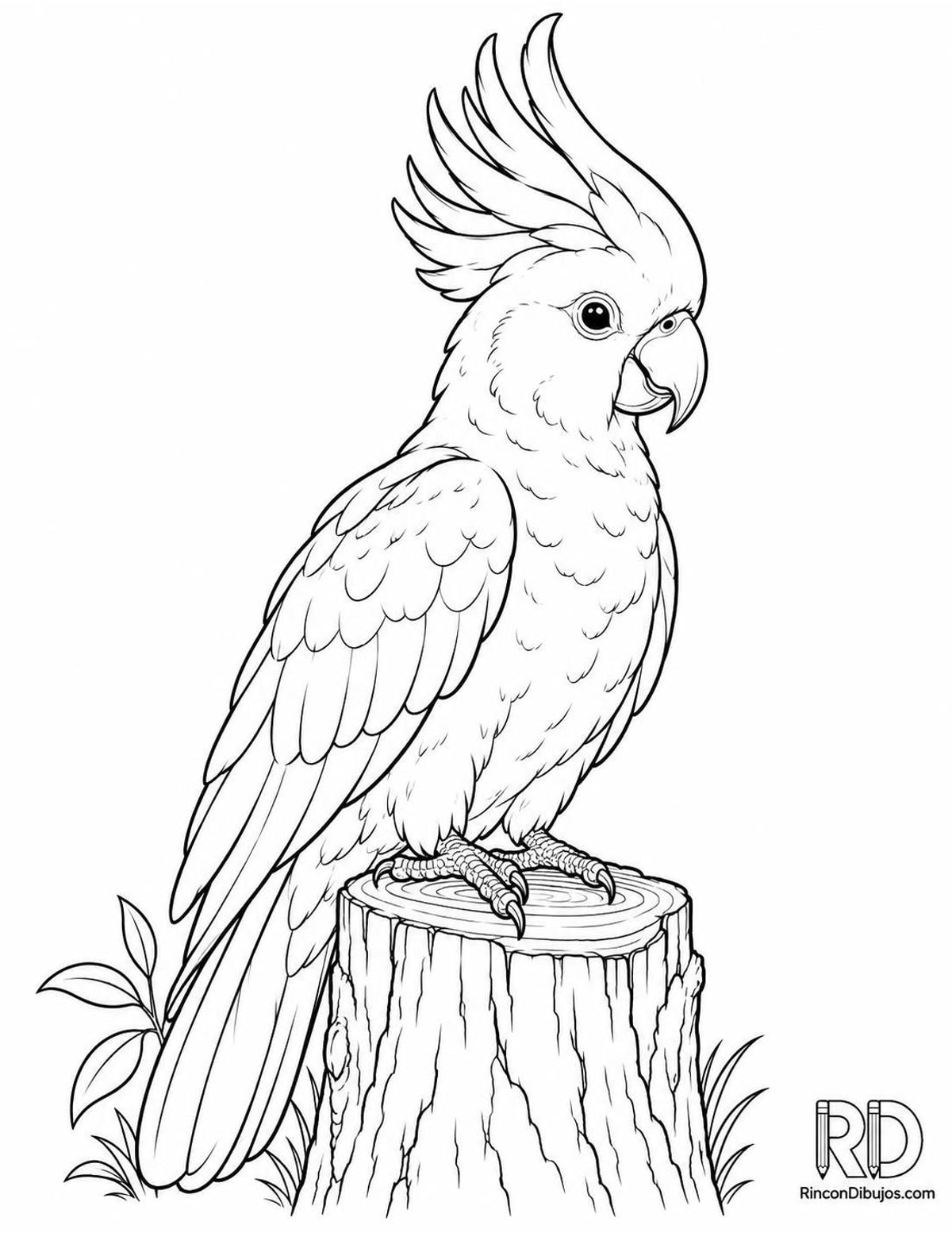 Dibujo de cacatúa en tronco para colorear Dibujo de cacatúa en tronco para colorear