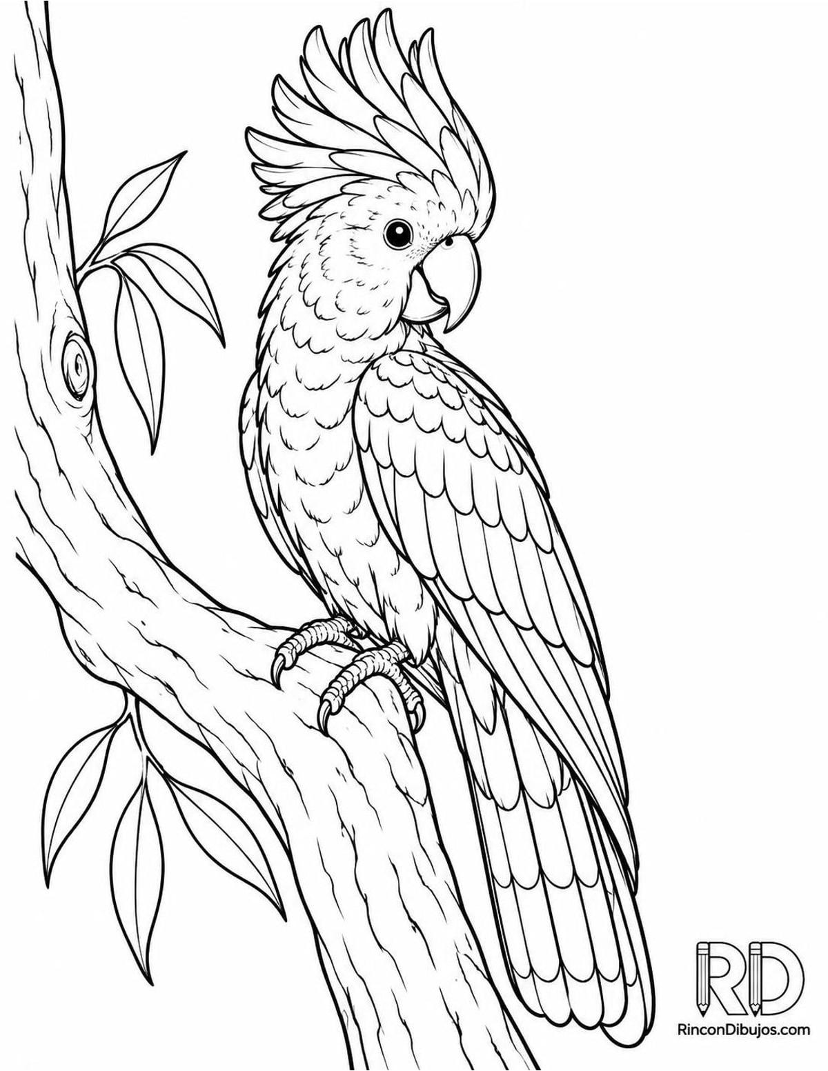 Dibujo de cacatúa negra para colorear Dibujo de cacatúa negra para colorear