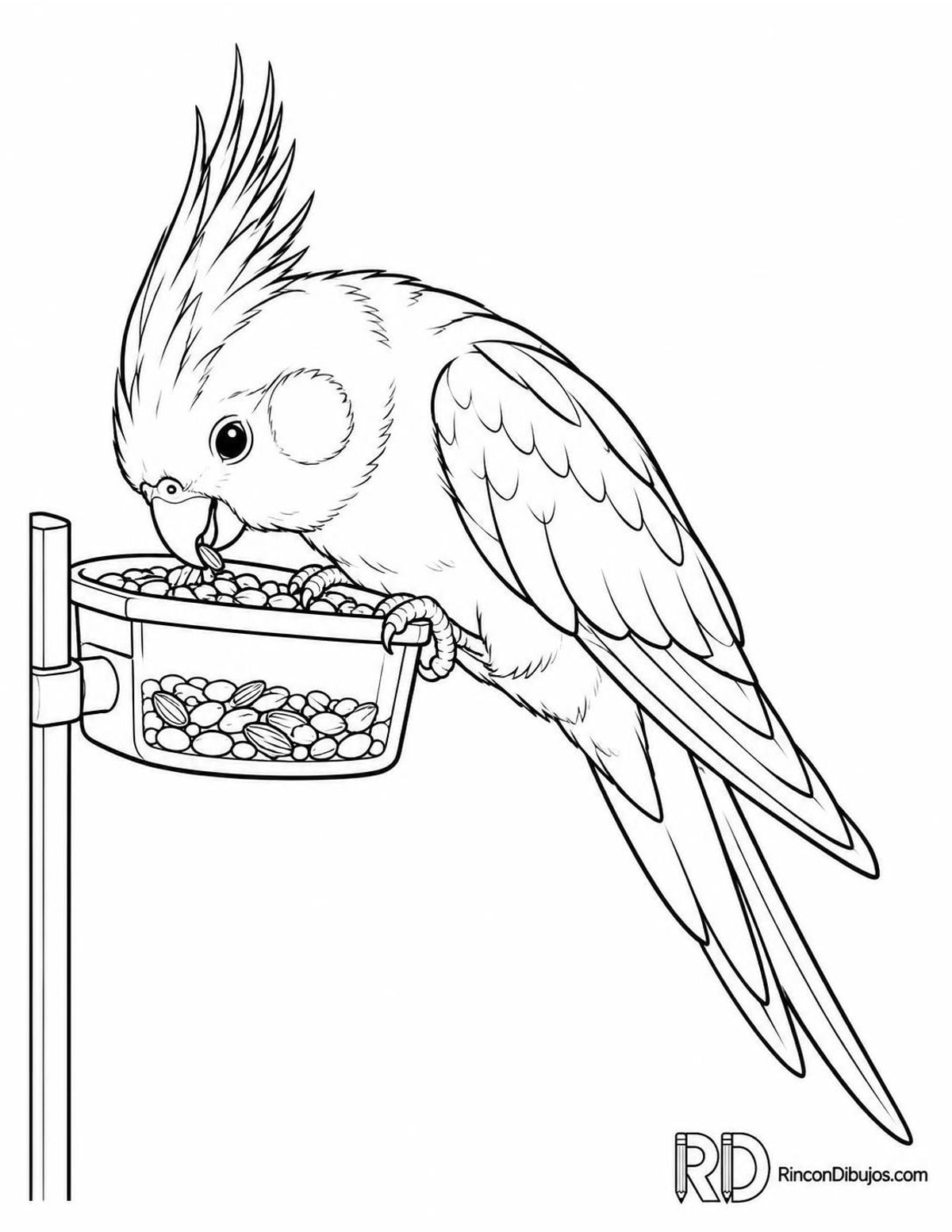 Dibujo de cacatúa ninfa comiendo para colorear Dibujo de cacatúa ninfa comiendo para colorear
