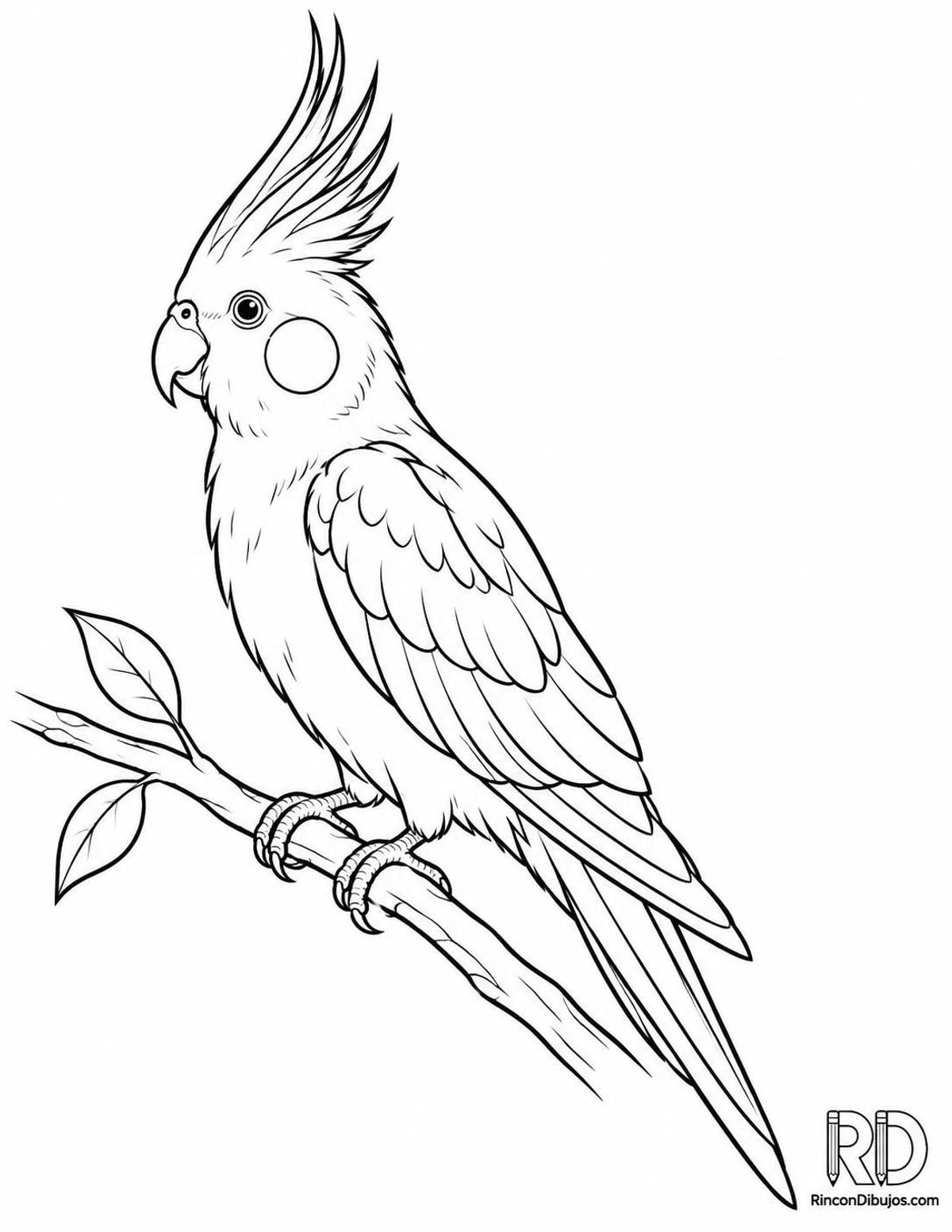 Dibujo de cacatúa ninfa para colorear Dibujo de cacatúa ninfa para colorear