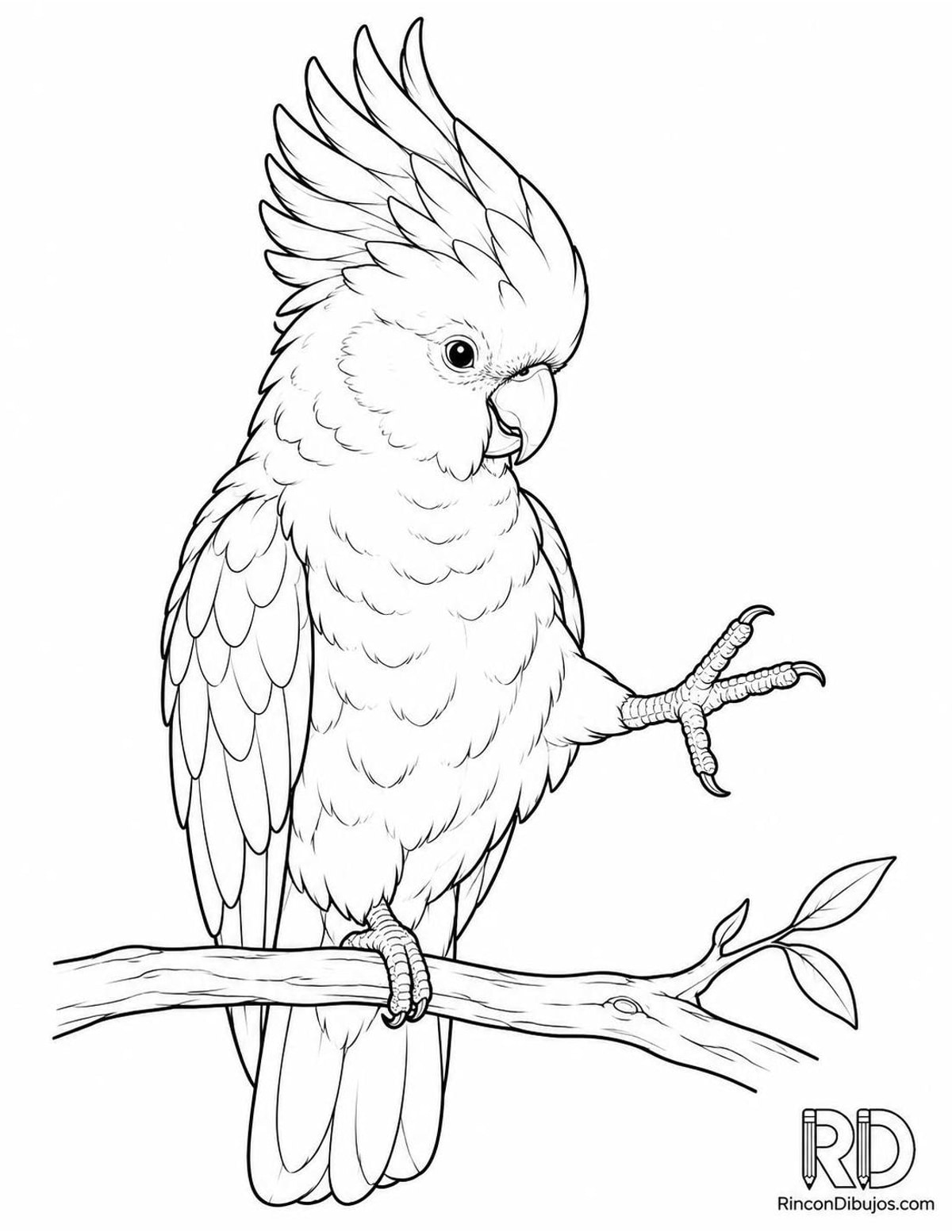 Dibujo de cacatúa rosada equilibrada para colorear Dibujo de cacatúa rosada equilibrada para colorear