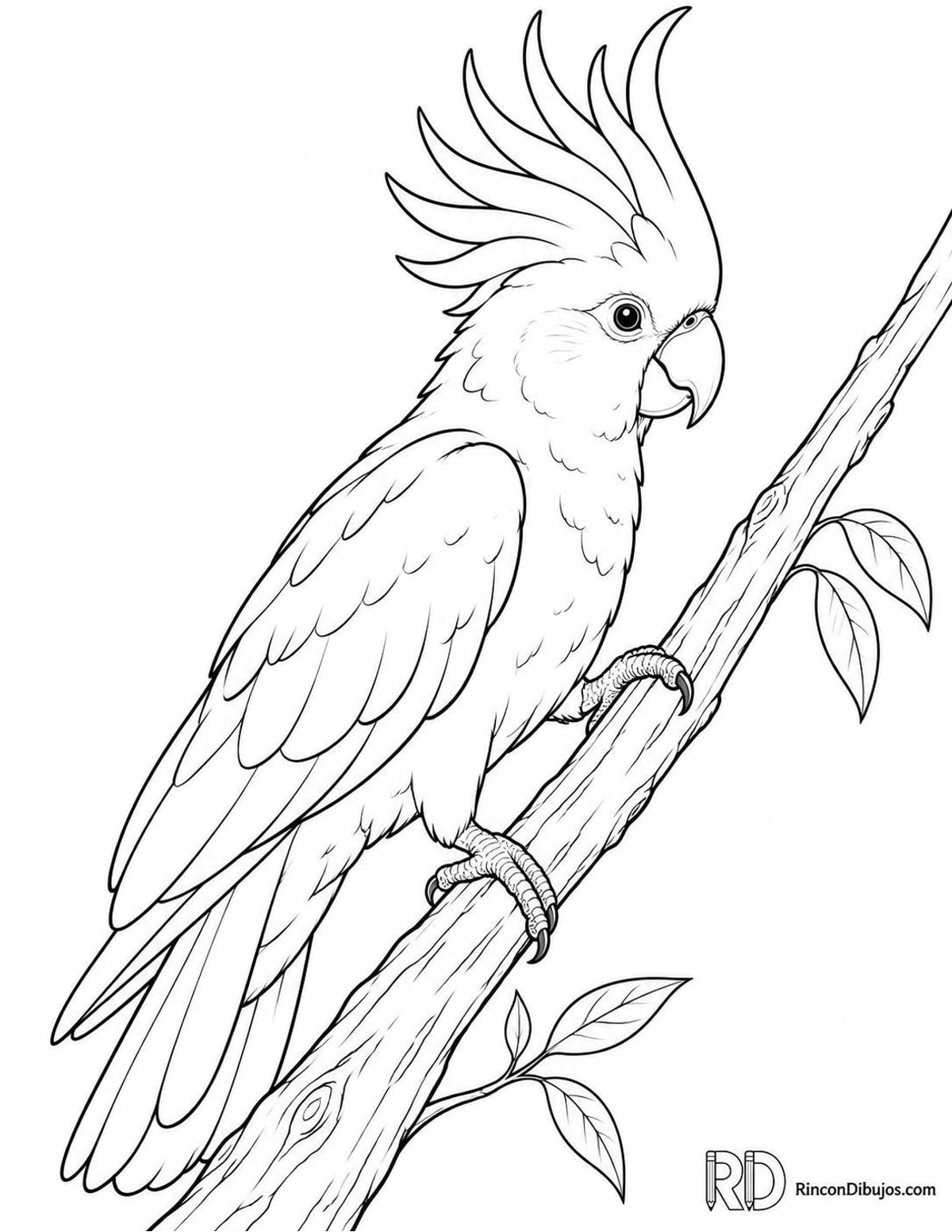 Dibujo de cacatúa trepando para colorear Dibujo de cacatúa trepando para colorear