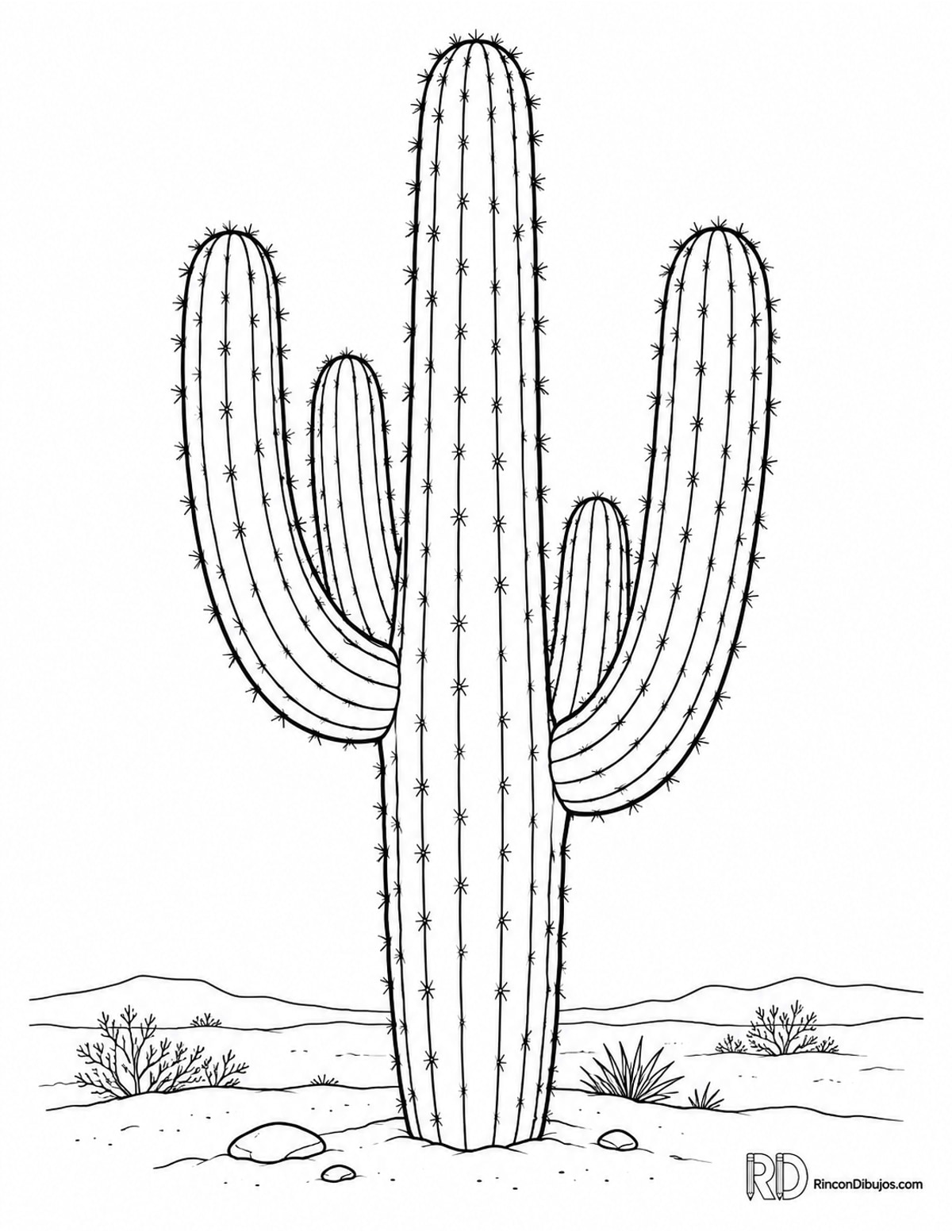 Dibujo de cactus saguaro para colorear Dibujo de cactus saguaro para colorear