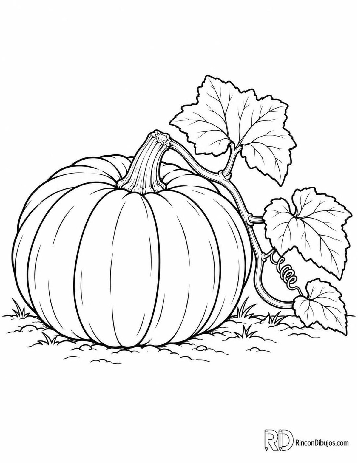Dibujo de calabaza para colorear