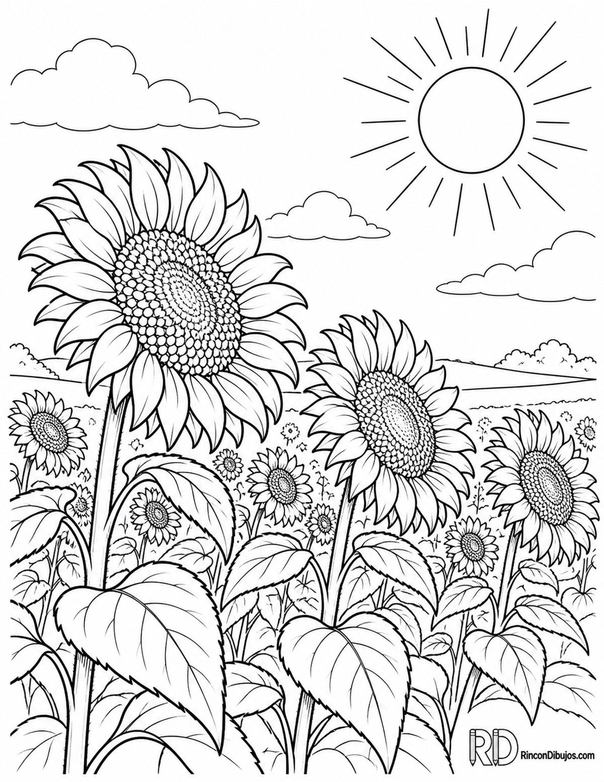 Dibujo de campo de girasoles para colorear Dibujo de campo de girasoles para colorear