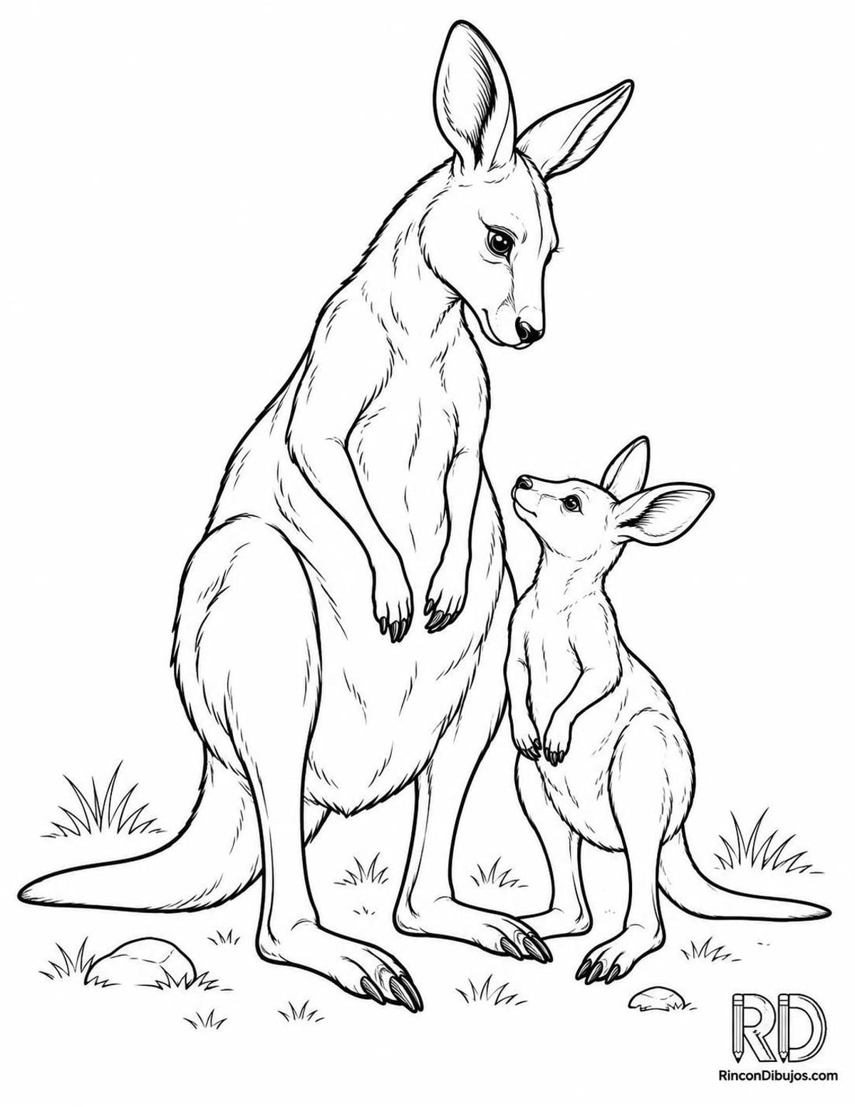 Dibujo de canguro madre para colorear Dibujo de canguro madre para colorear