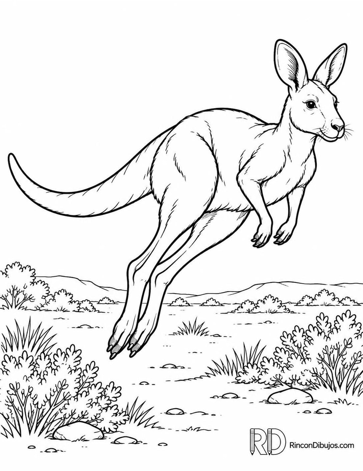 Dibujo de canguro saltando matorrales para colorear Dibujo de canguro saltando matorrales para colorear