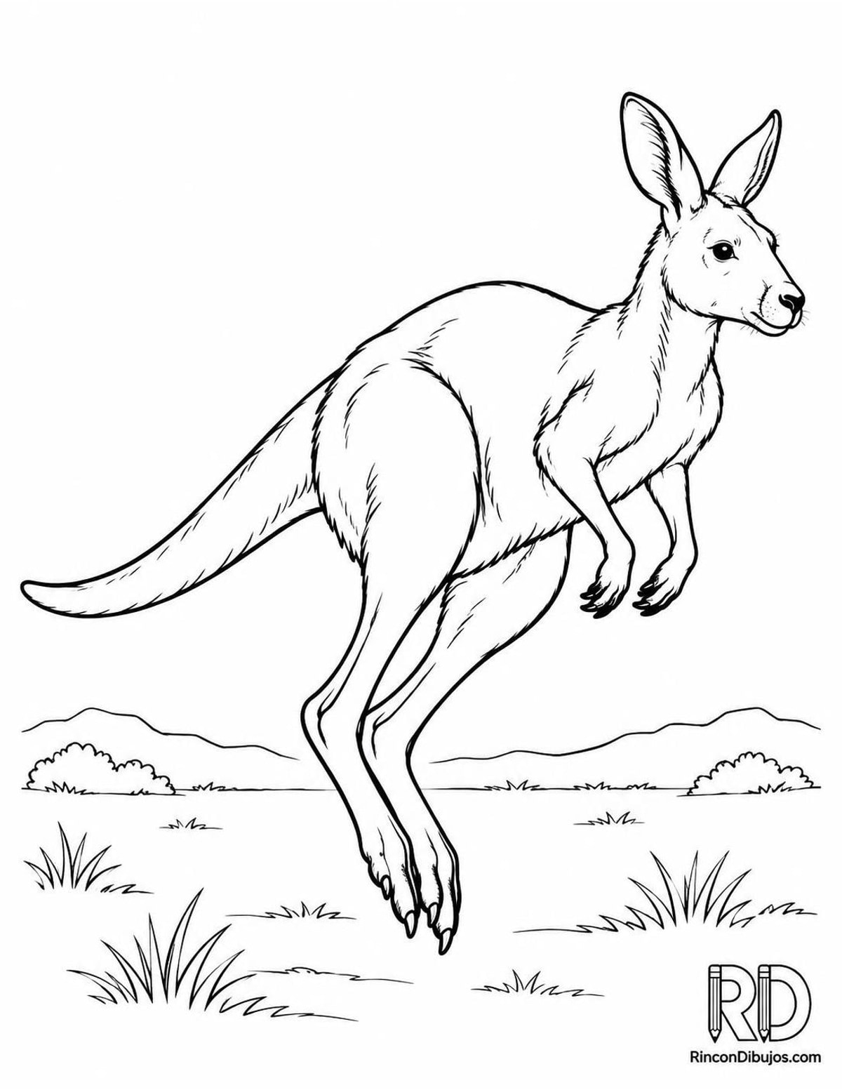 Dibujo de canguro saltando para colorear Dibujo de canguro saltando para colorear