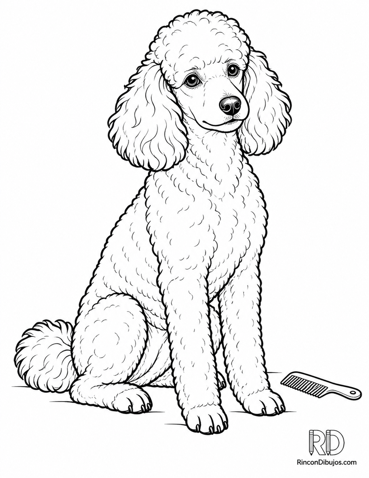 Dibujo de caniche sentado para colorear Dibujo de caniche sentado para colorear