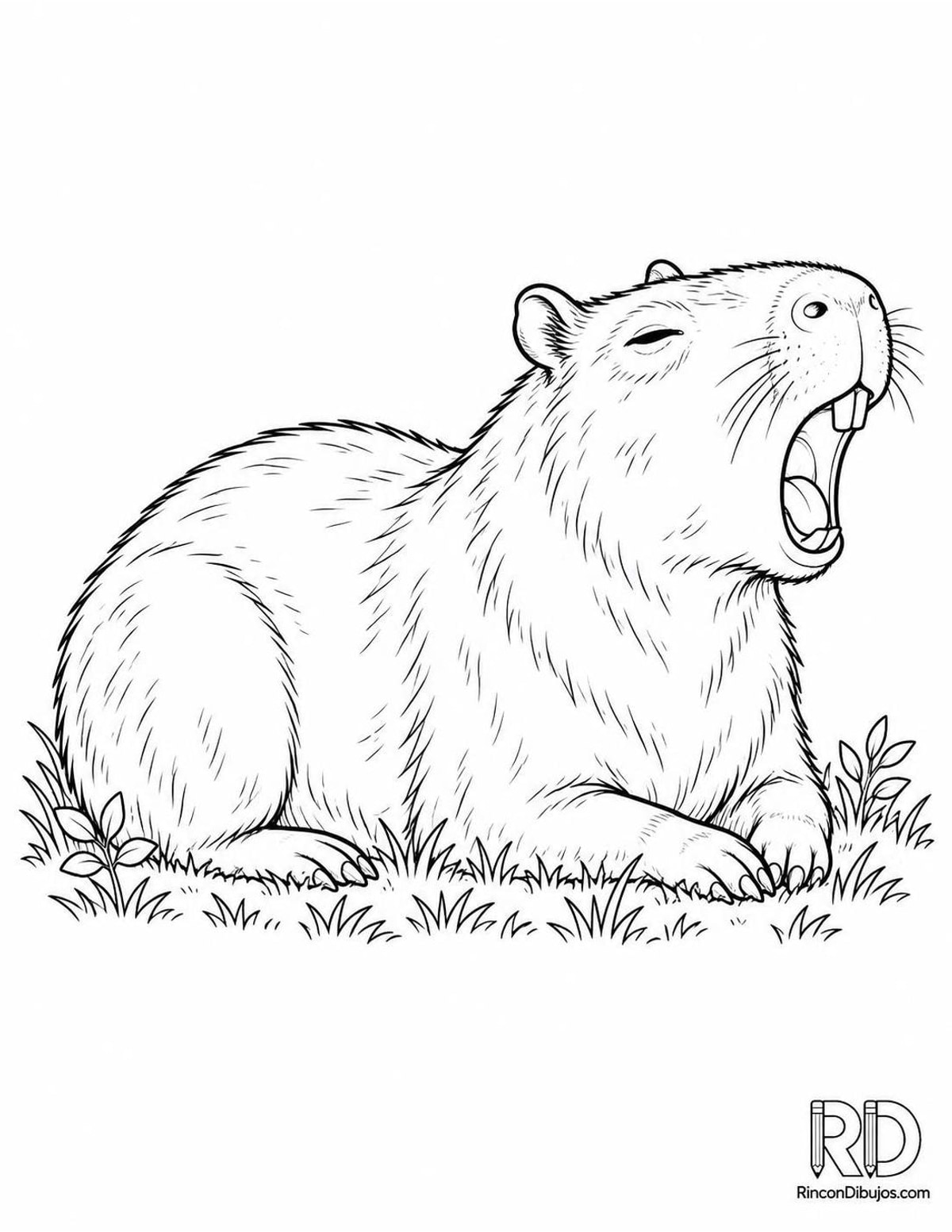 Dibujo de capibara bostezando para colorear Dibujo de capibara bostezando para colorear