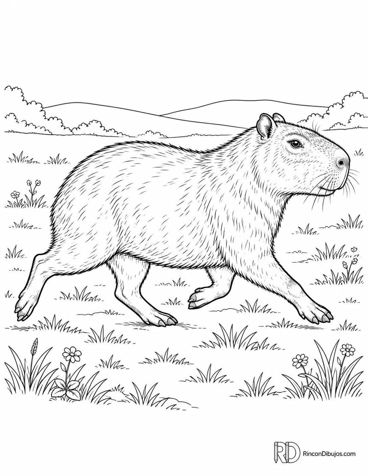 Dibujo de capibara corriendo para colorear Dibujo de capibara corriendo para colorear