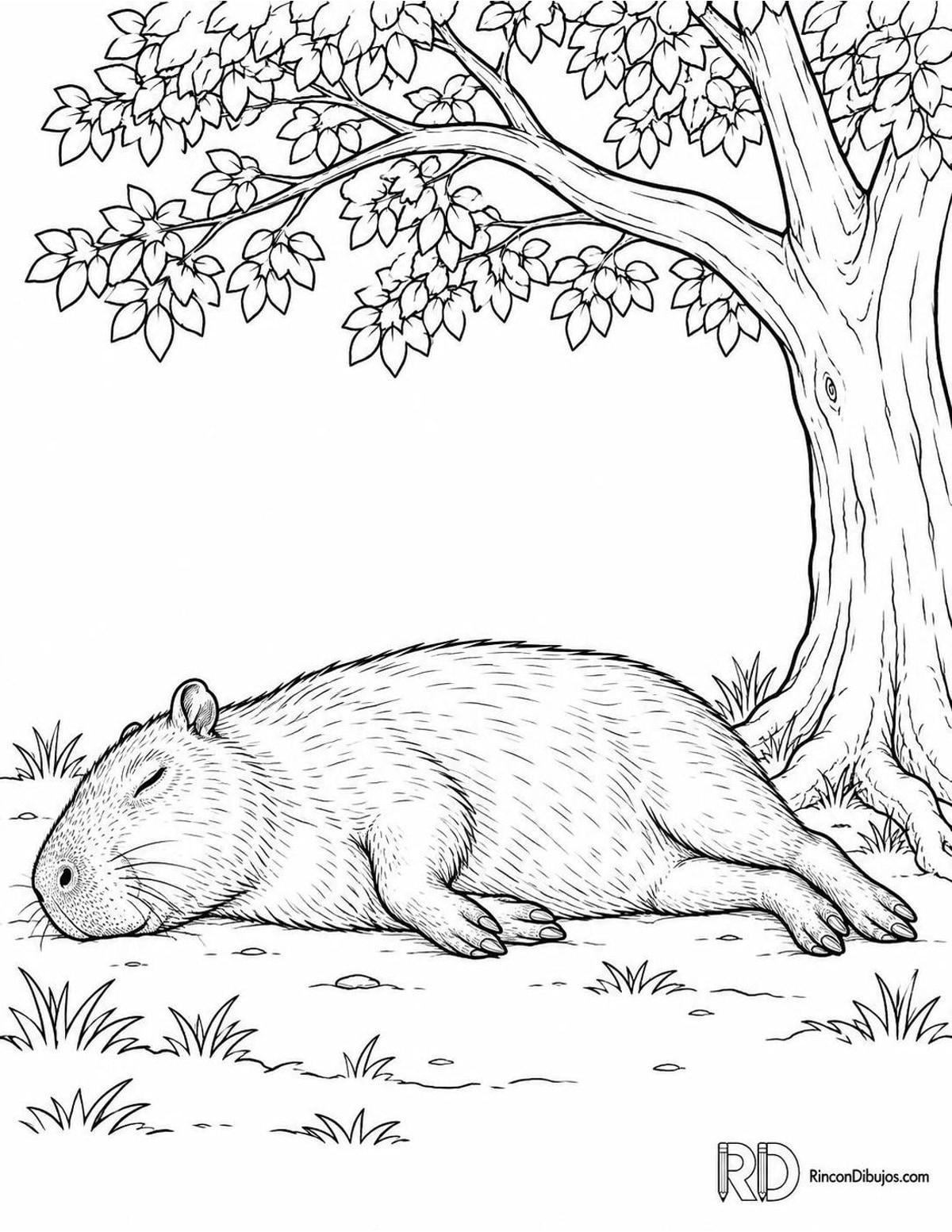 Dibujo de capibara descansando para colorear Dibujo de capibara descansando para colorear