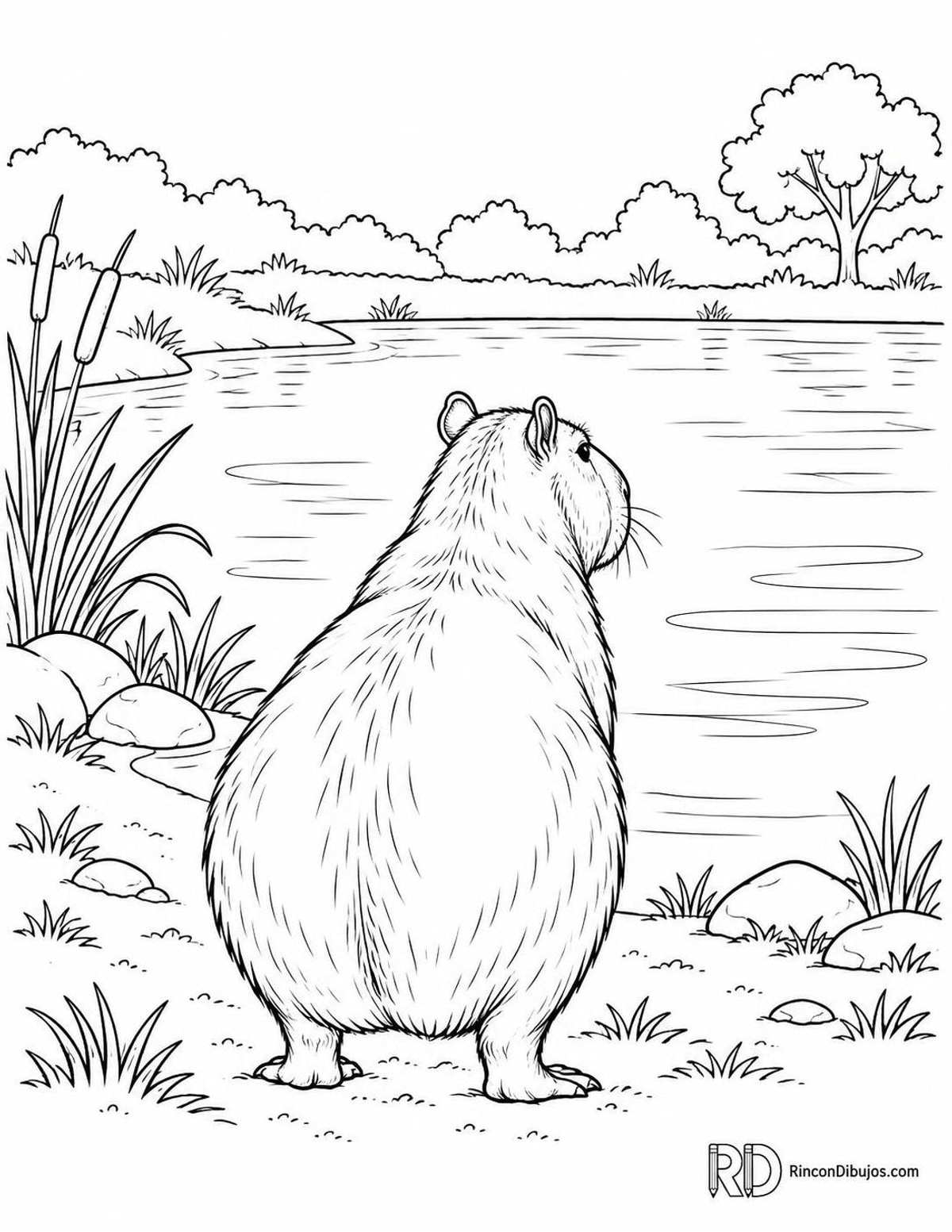 Dibujo de capibara en estanque para colorear Dibujo de capibara en estanque para colorear