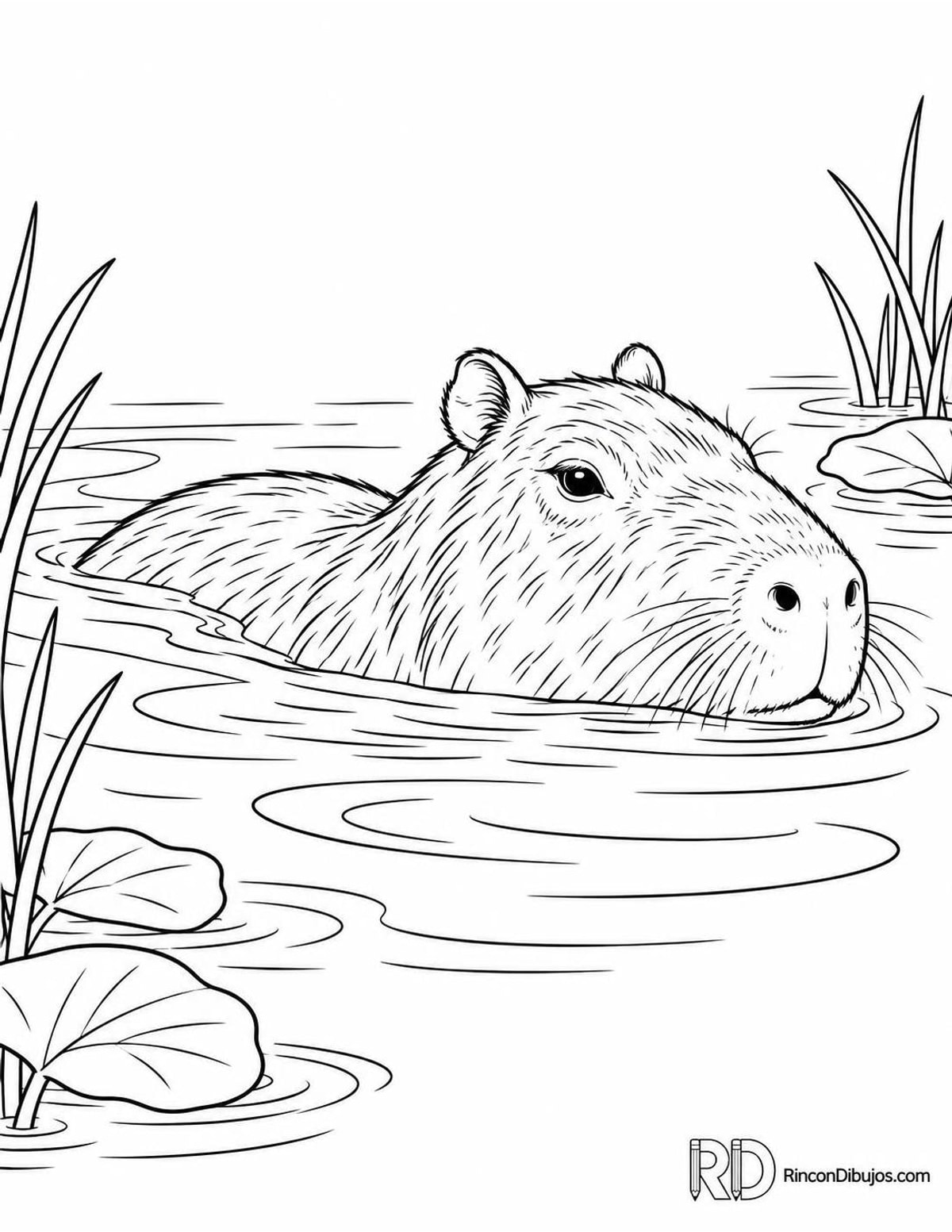 Dibujo de capibara nadando para colorear Dibujo de capibara nadando para colorear