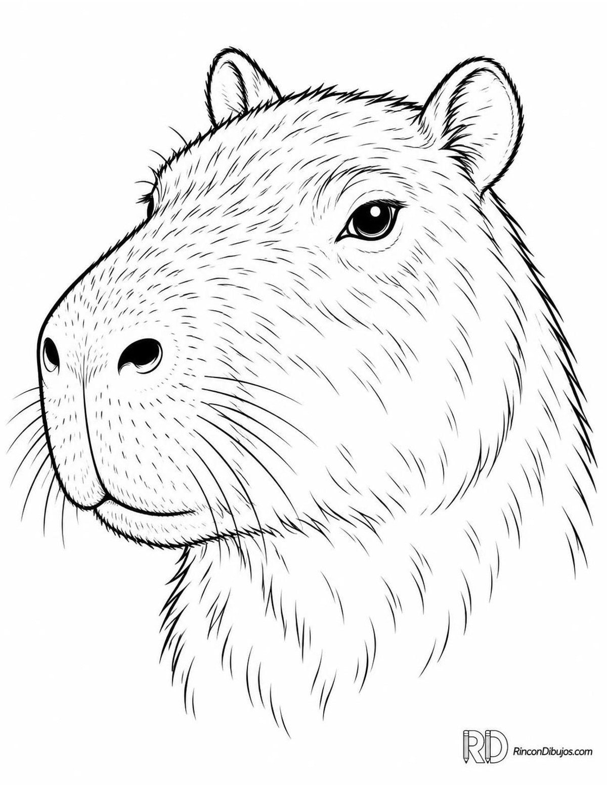 Dibujo de capibara para colorear Dibujo de capibara para colorear