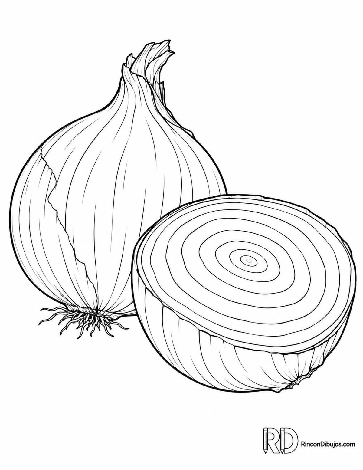Dibujo de cebolla cortada para colorear