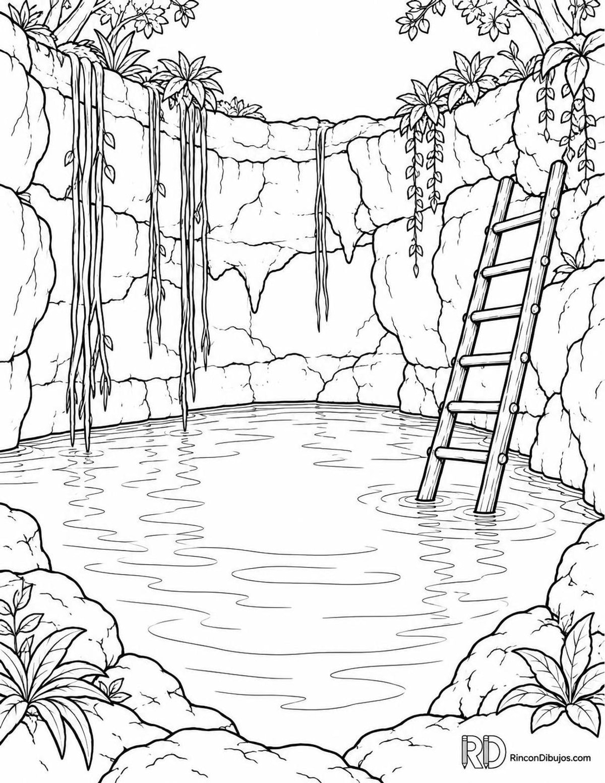 Dibujo de cenote con escalera para colorear