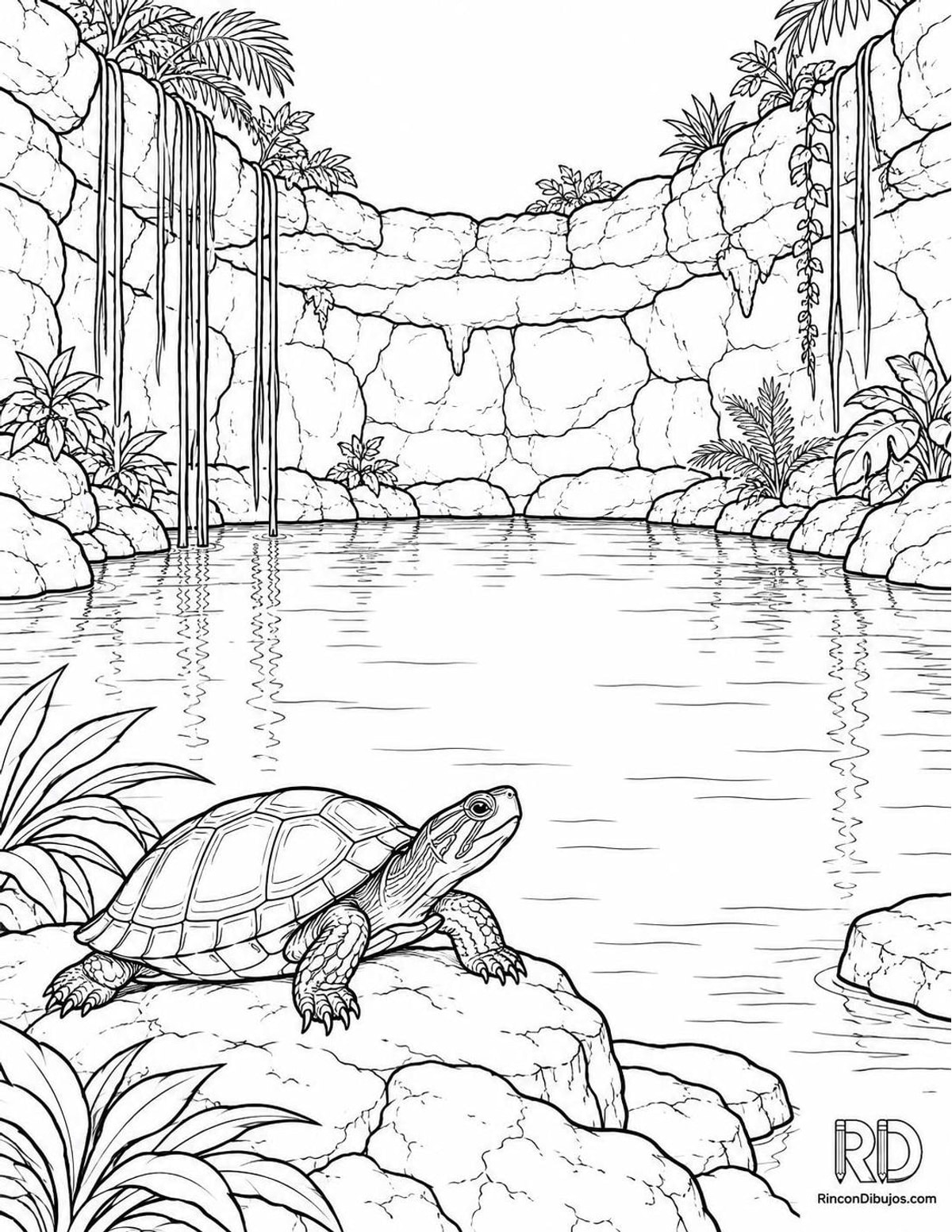 Dibujo de cenote con tortuga para colorear