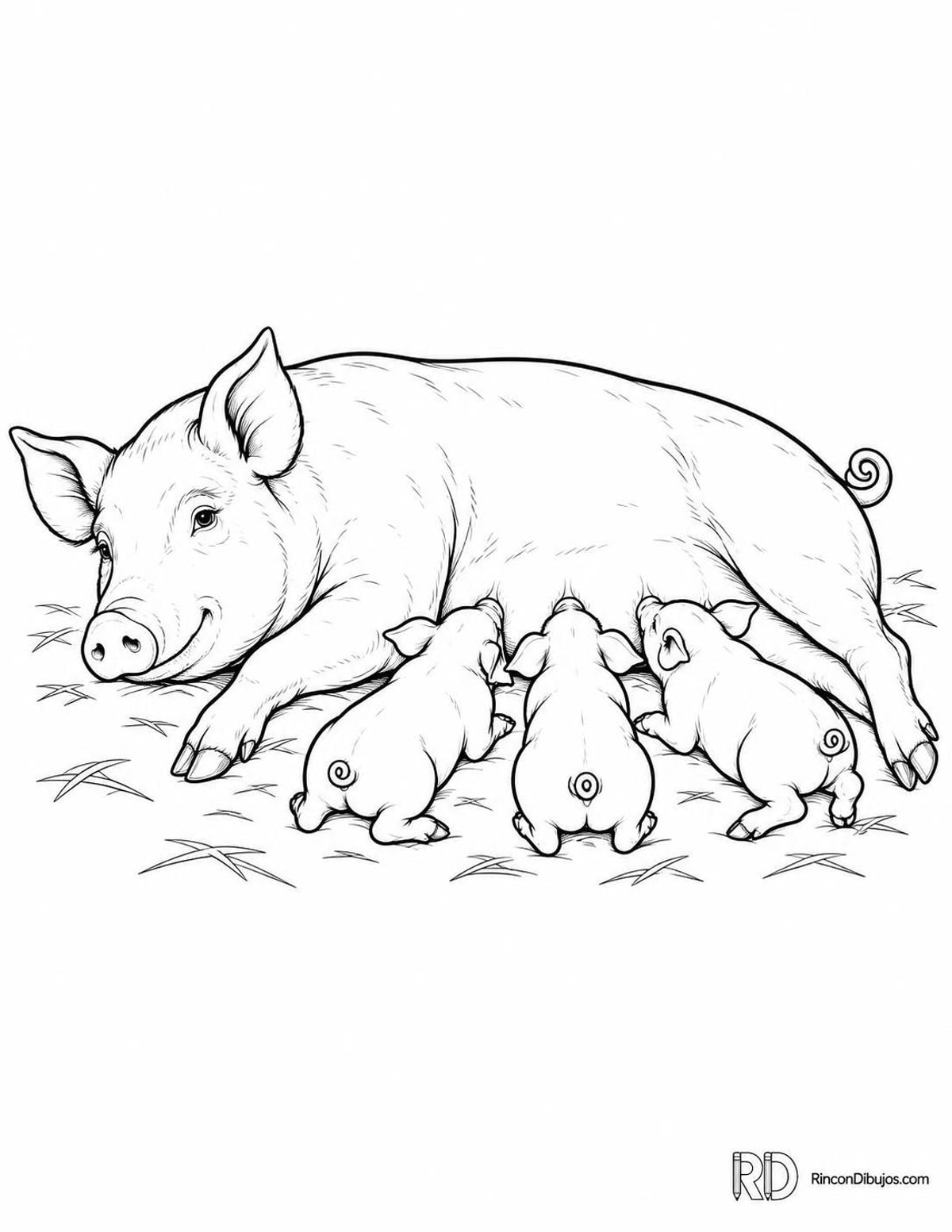 Dibujo de cerda amamantando para colorear Dibujo de cerda amamantando para colorear