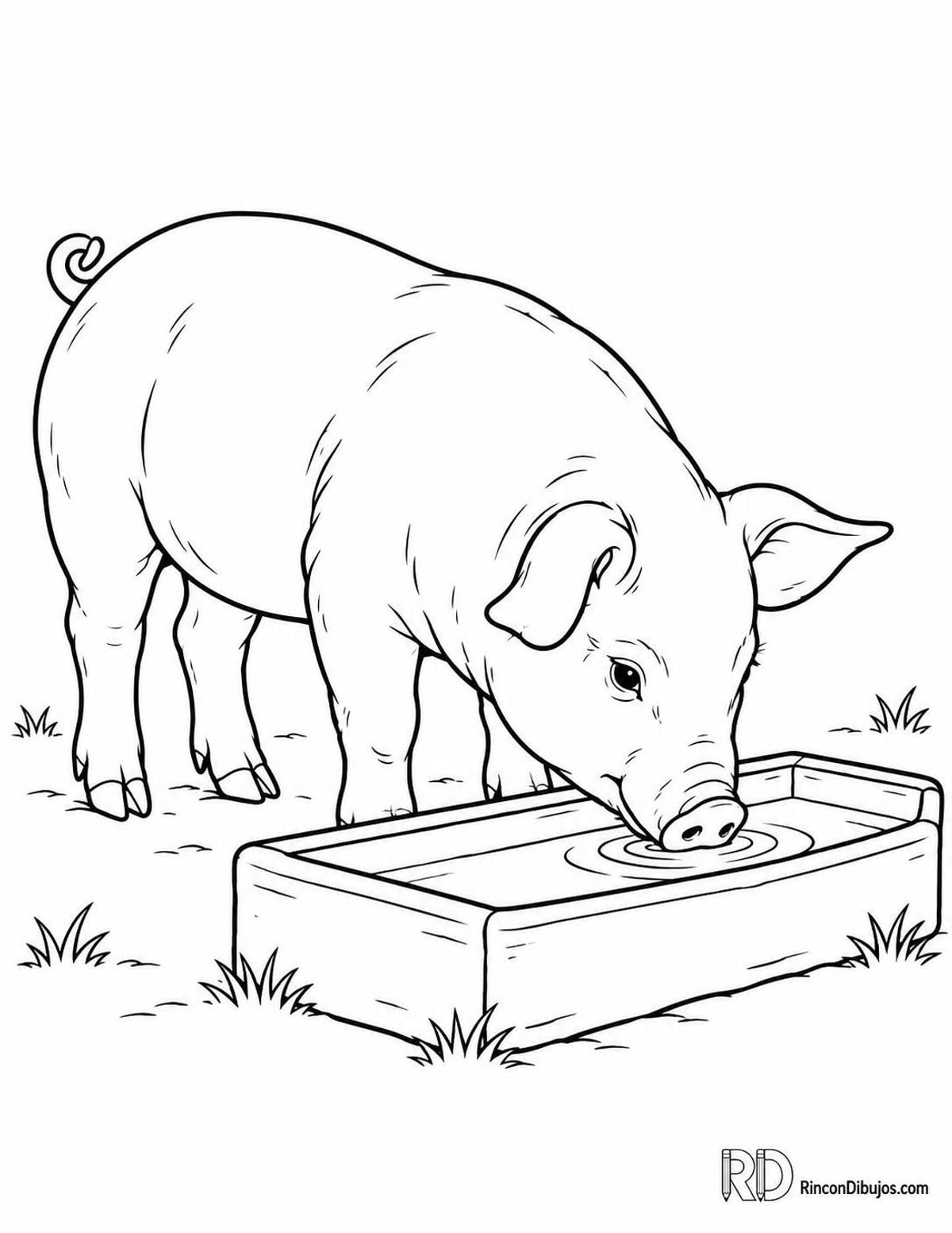 Dibujo de cerdito bebiendo para colorear Dibujo de cerdito bebiendo para colorear