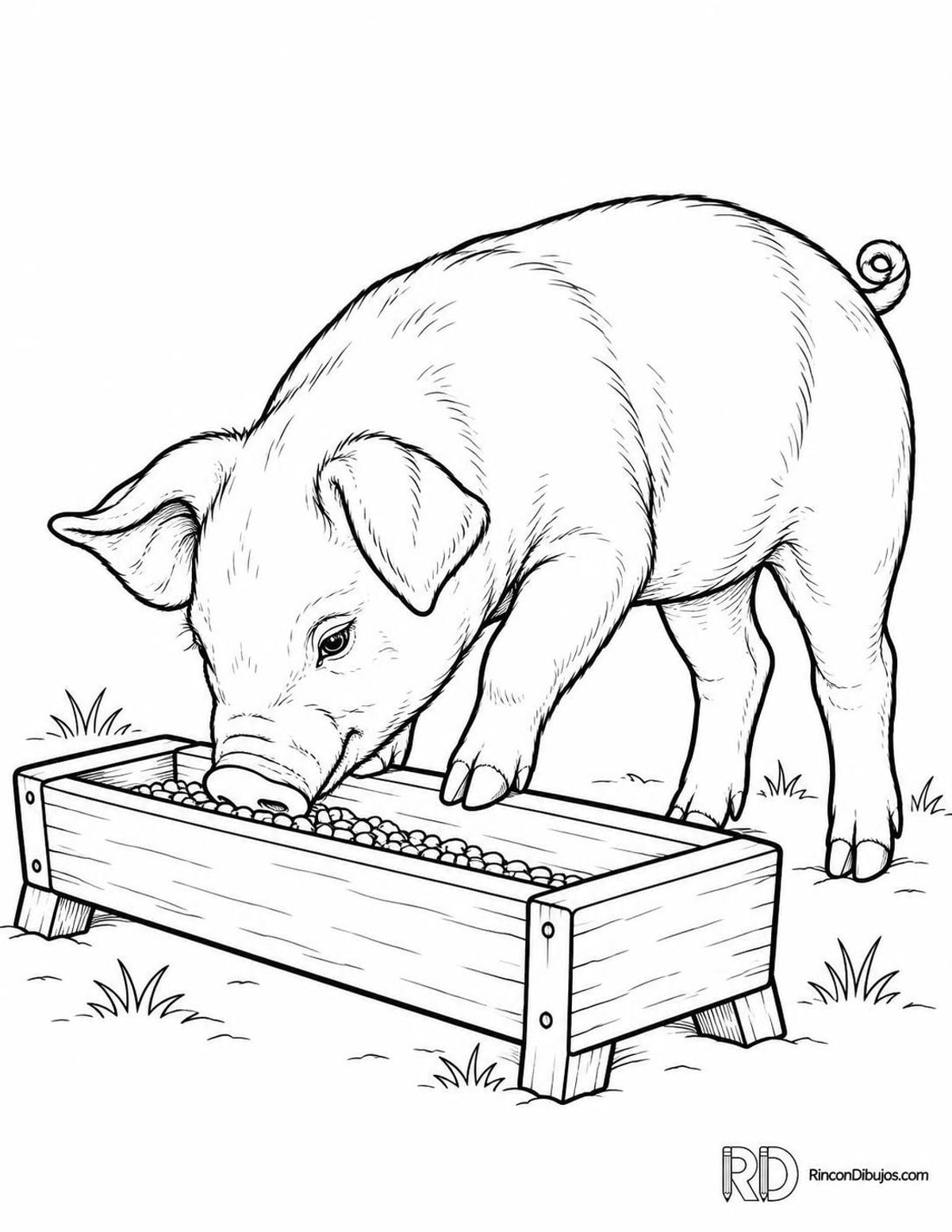 Dibujo de cerdito comiendo para colorear Dibujo de cerdito comiendo para colorear