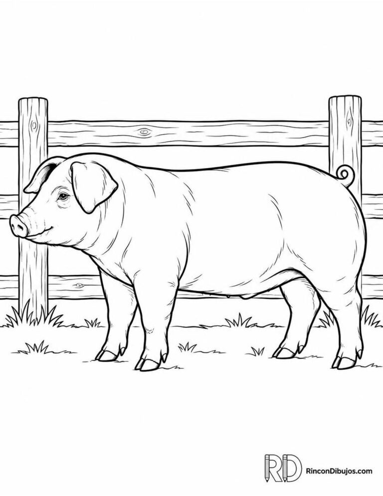 Dibujos de Cerditos para Colorear