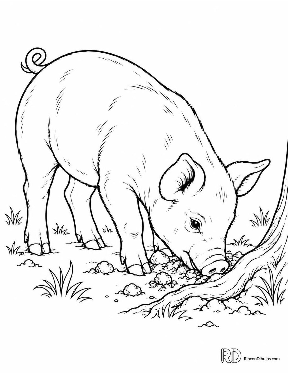 Dibujo de cerdito escarbando para colorear Dibujo de cerdito escarbando para colorear