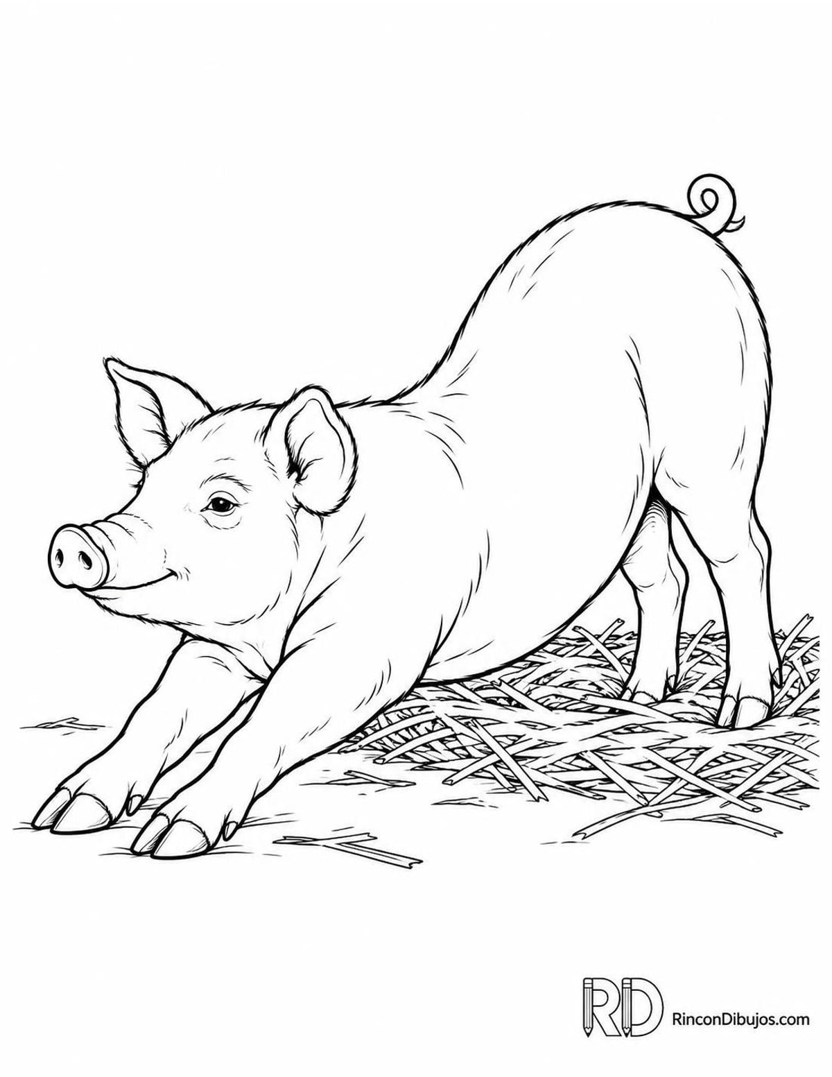 Dibujo de cerdito estirándose para colorear Dibujo de cerdito estirándose para colorear