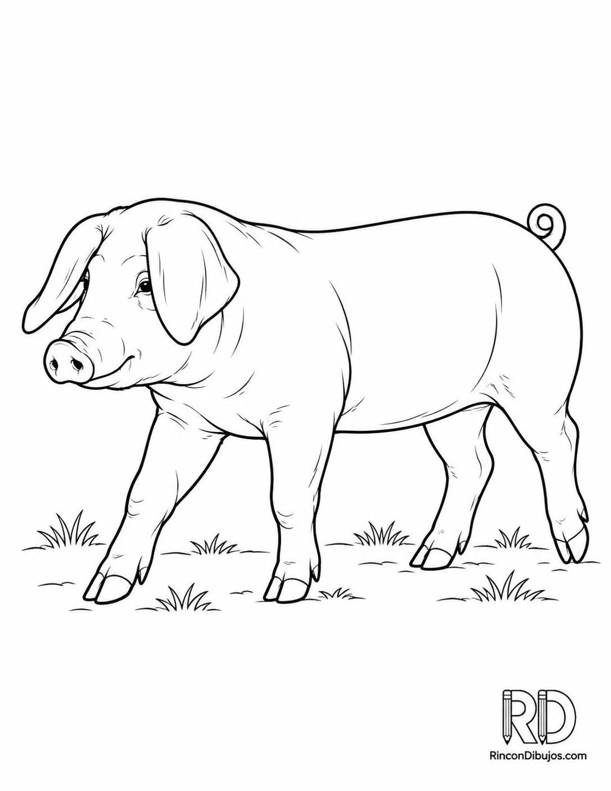 Dibujo de cerdito Landrace para colorear Dibujo de cerdito Landrace para colorear