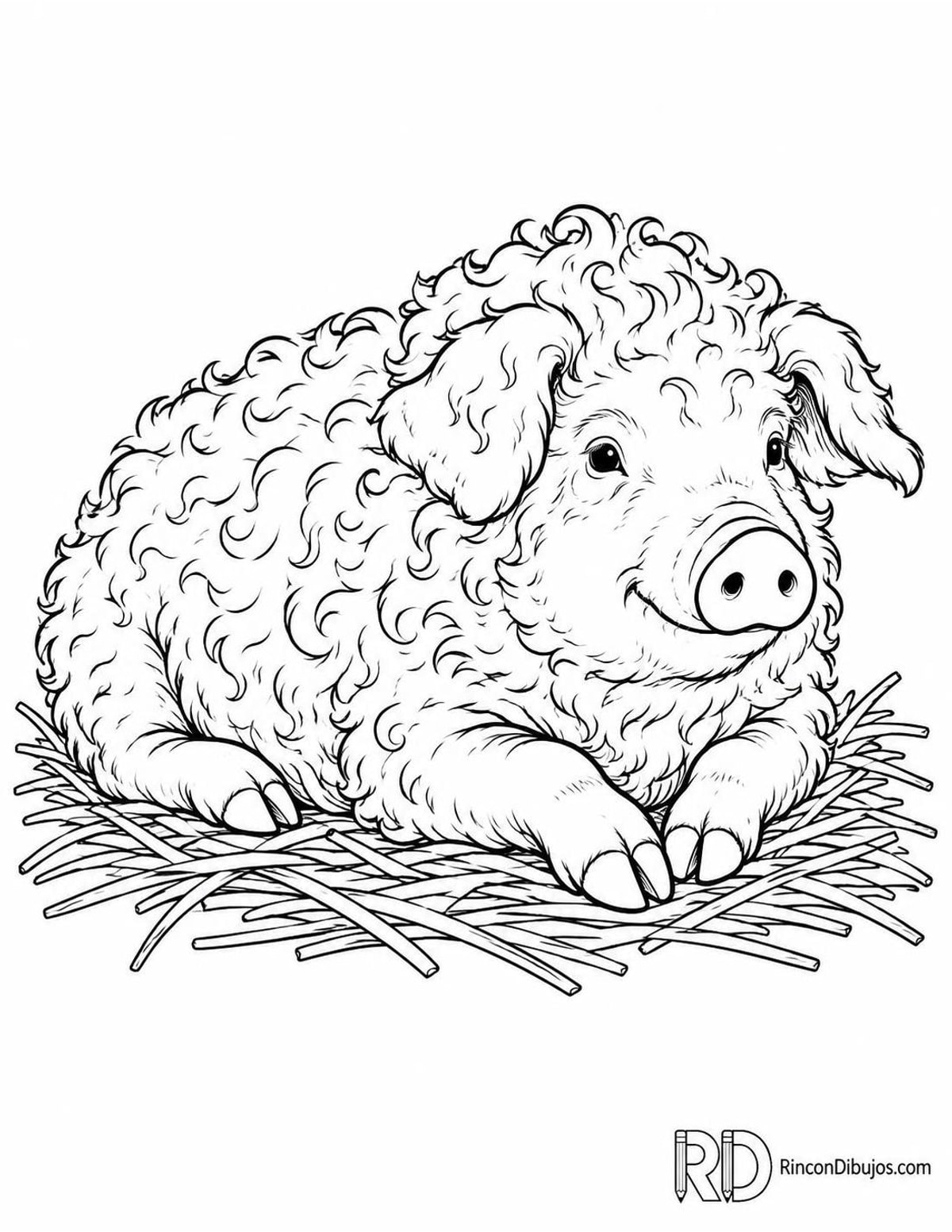 Dibujo de cerdito Mangalica para colorear Dibujo de cerdito Mangalica para colorear
