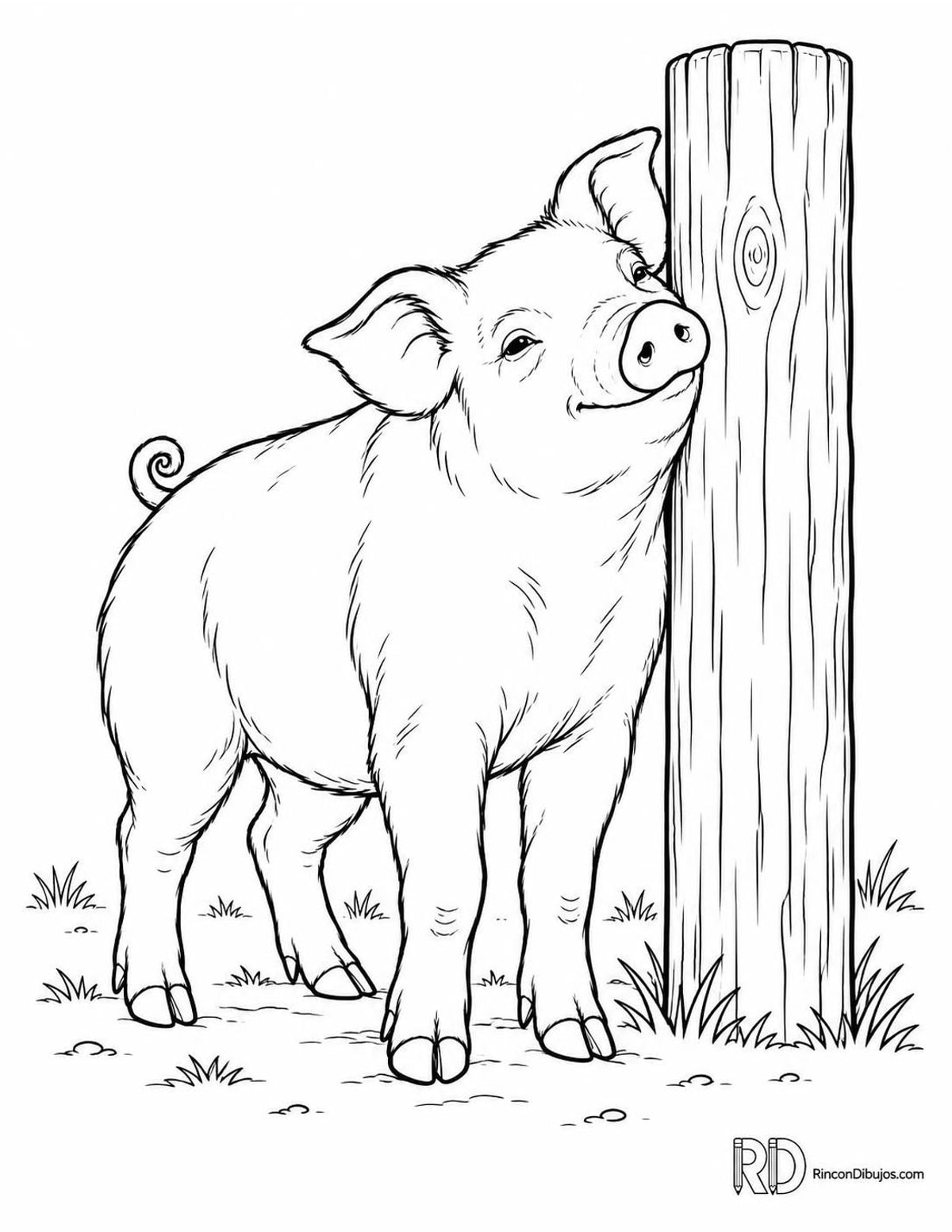 Dibujo de cerdito rascándose para colorear Dibujo de cerdito rascándose para colorear