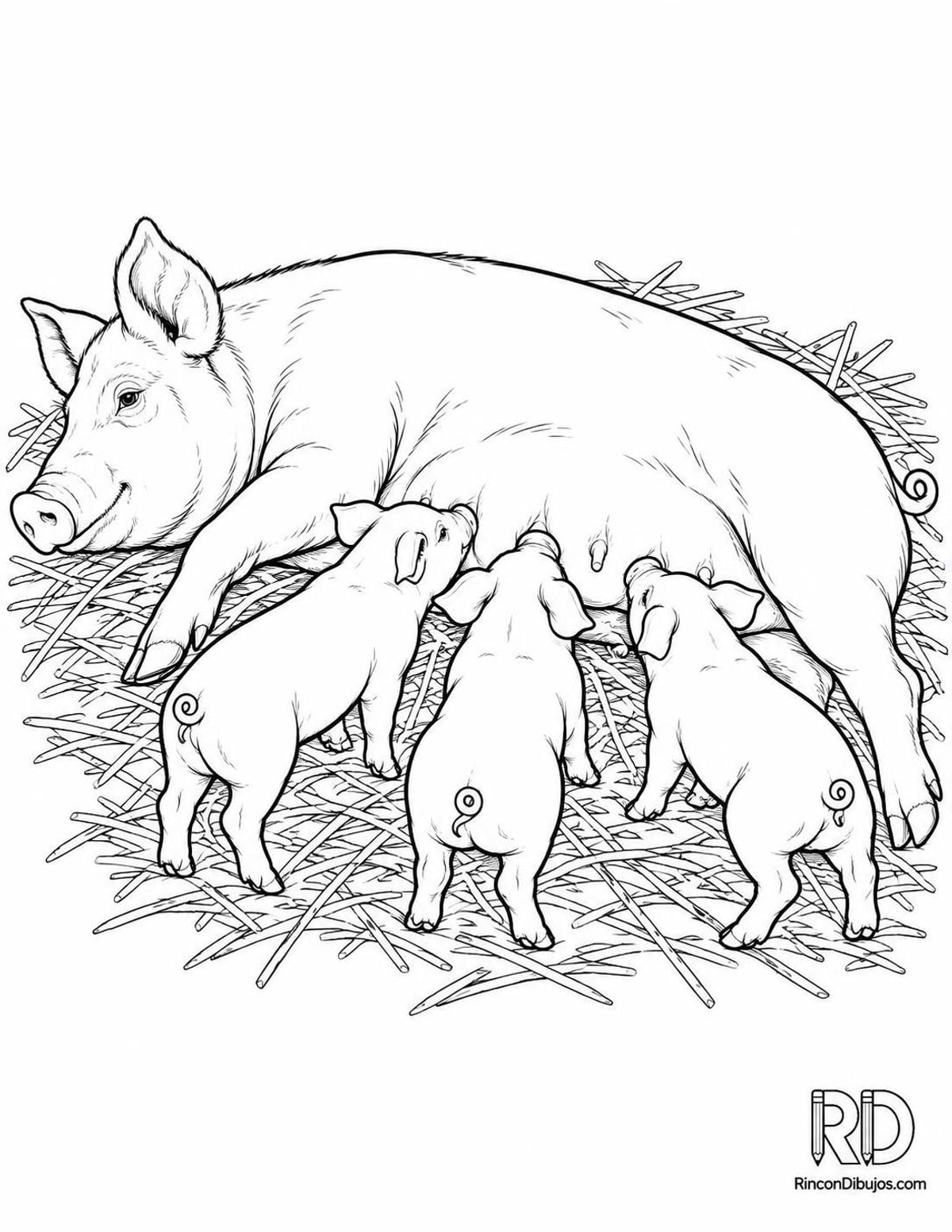 Dibujo de cerditos mamando para colorear Dibujo de cerditos mamando para colorear