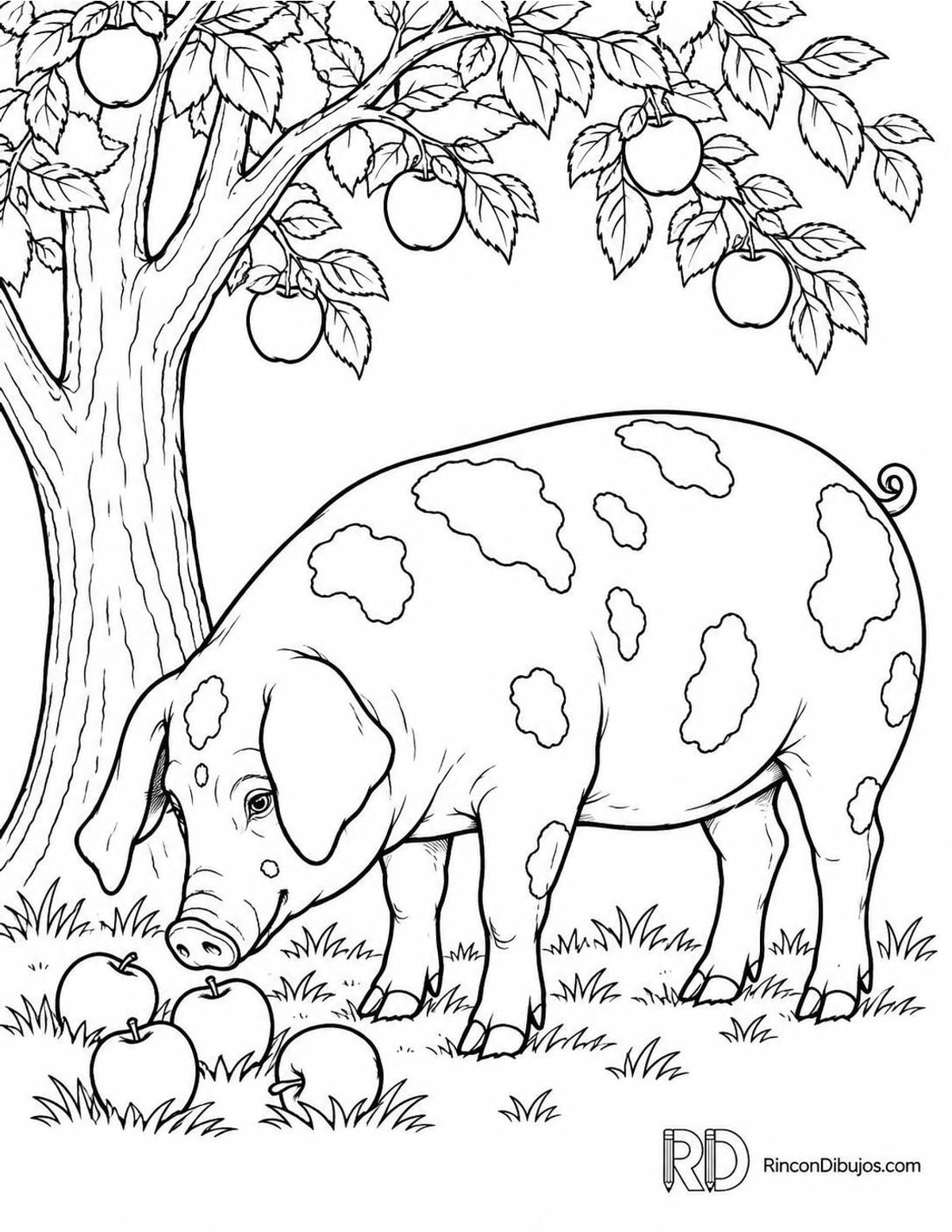 Dibujo de cerdo gloucestershire old spots para colorear Dibujo de cerdo gloucestershire old spots para colorear